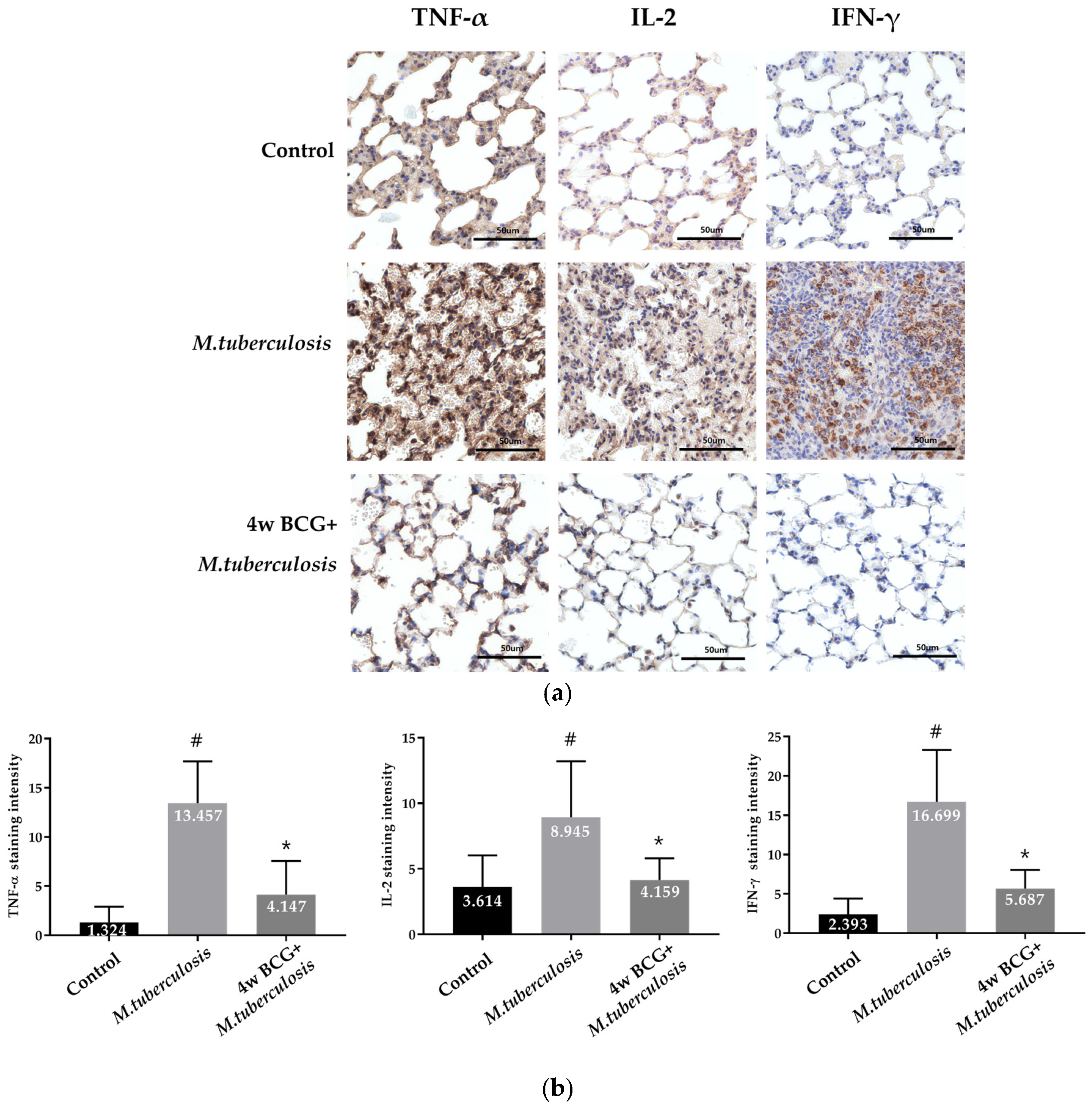 Vaccines 13 00305 g004