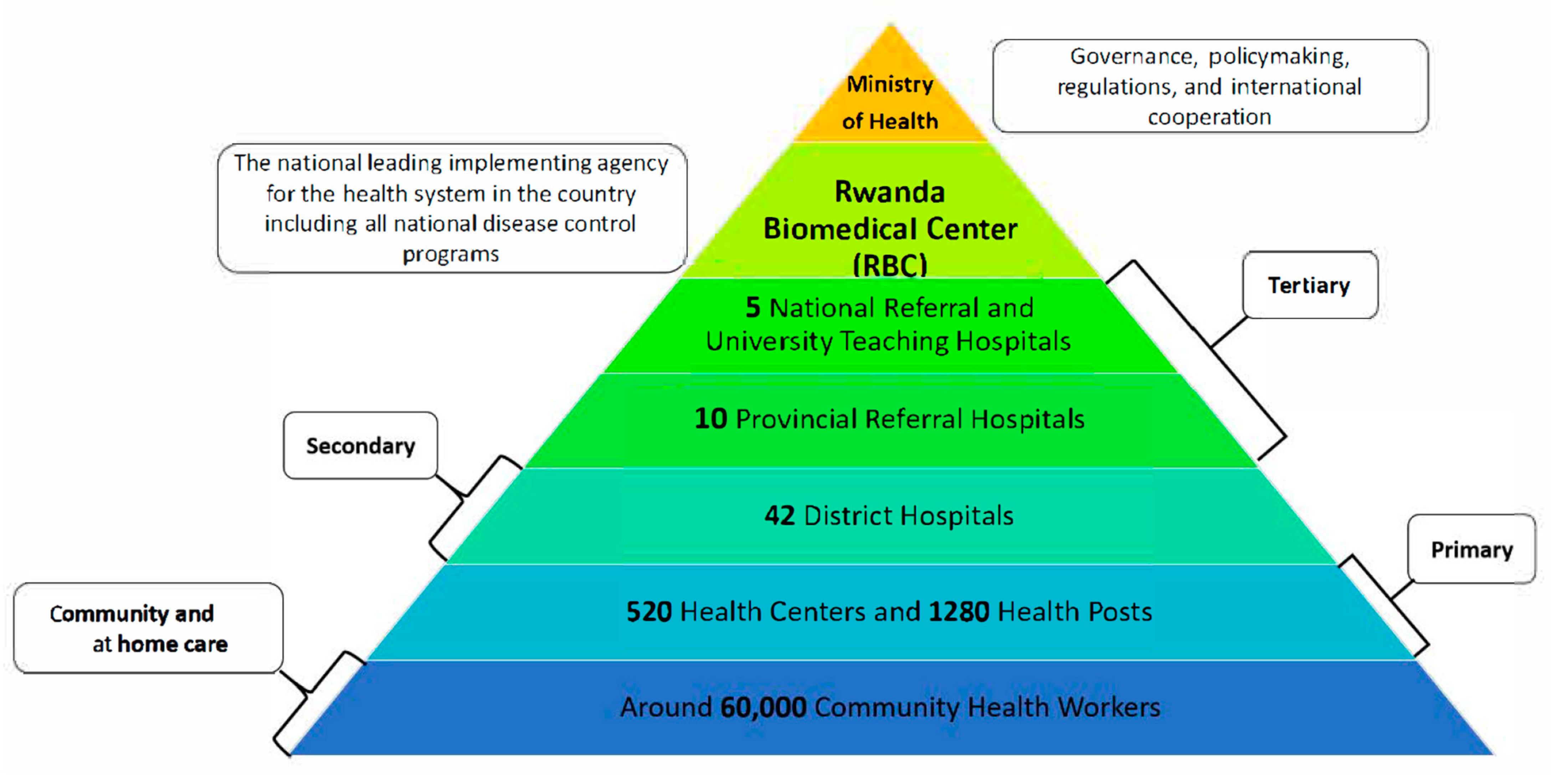 Vaccines 13 00307 g001
