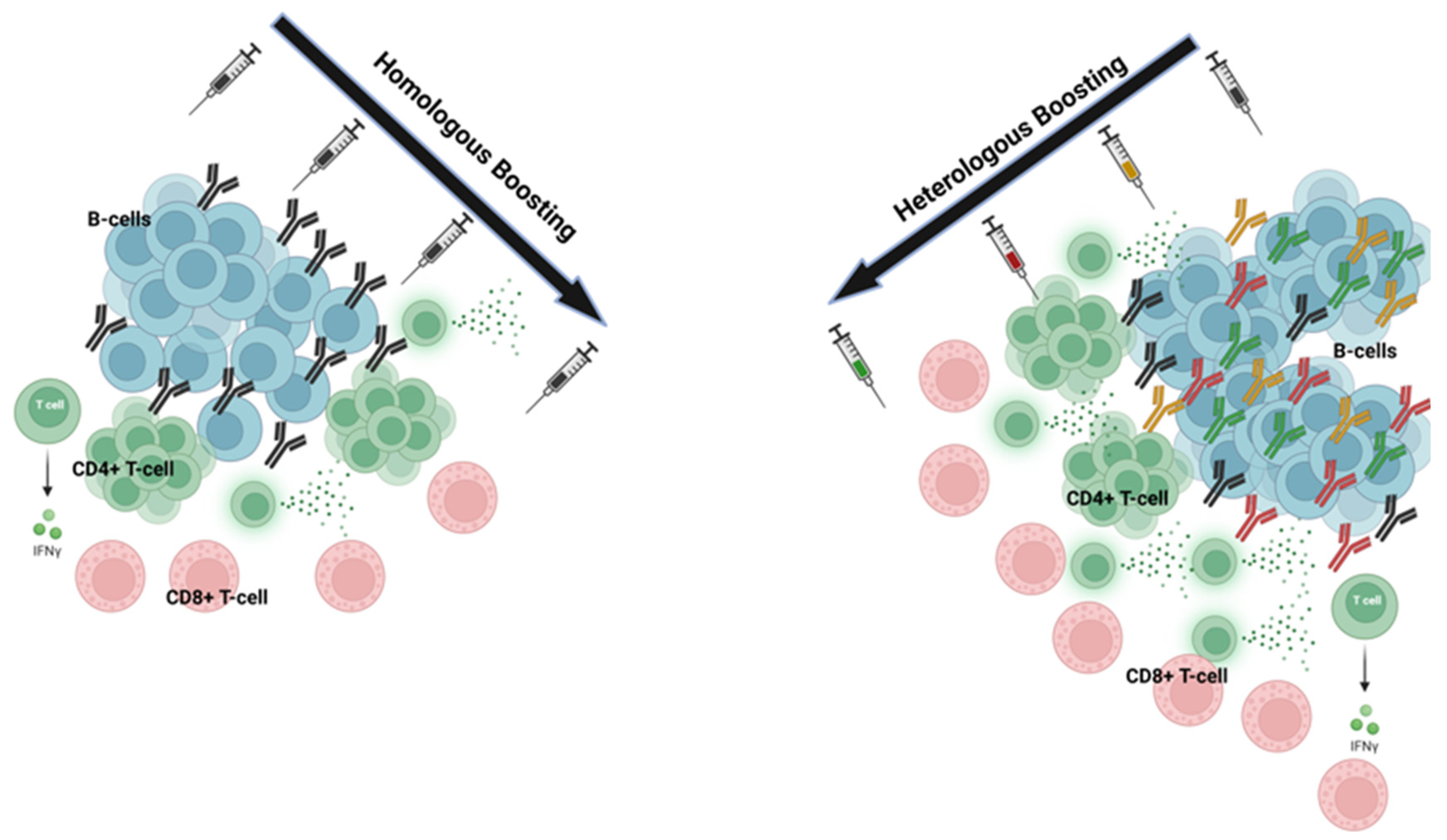 Vaccines 13 00308 g001