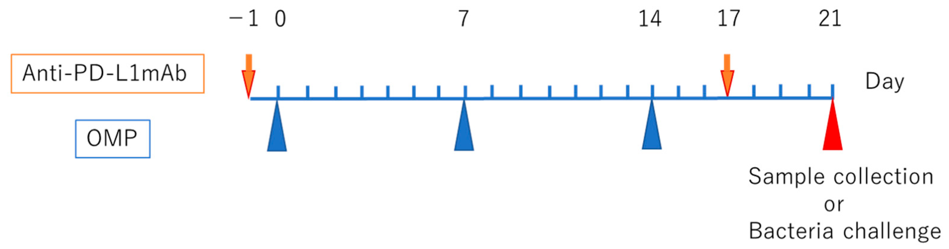 Vaccines 13 00313 g001 Vaccines 13 00313 g001
