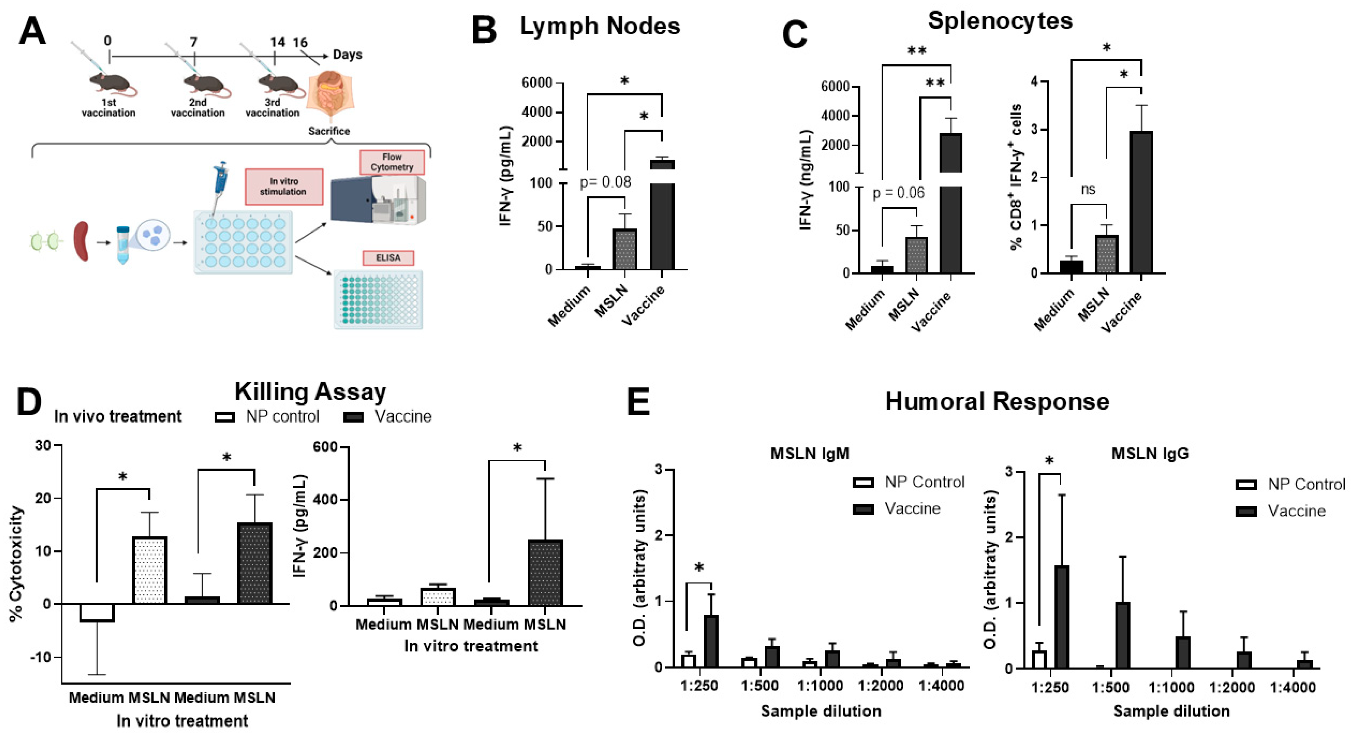 Vaccines 13 00314 g002