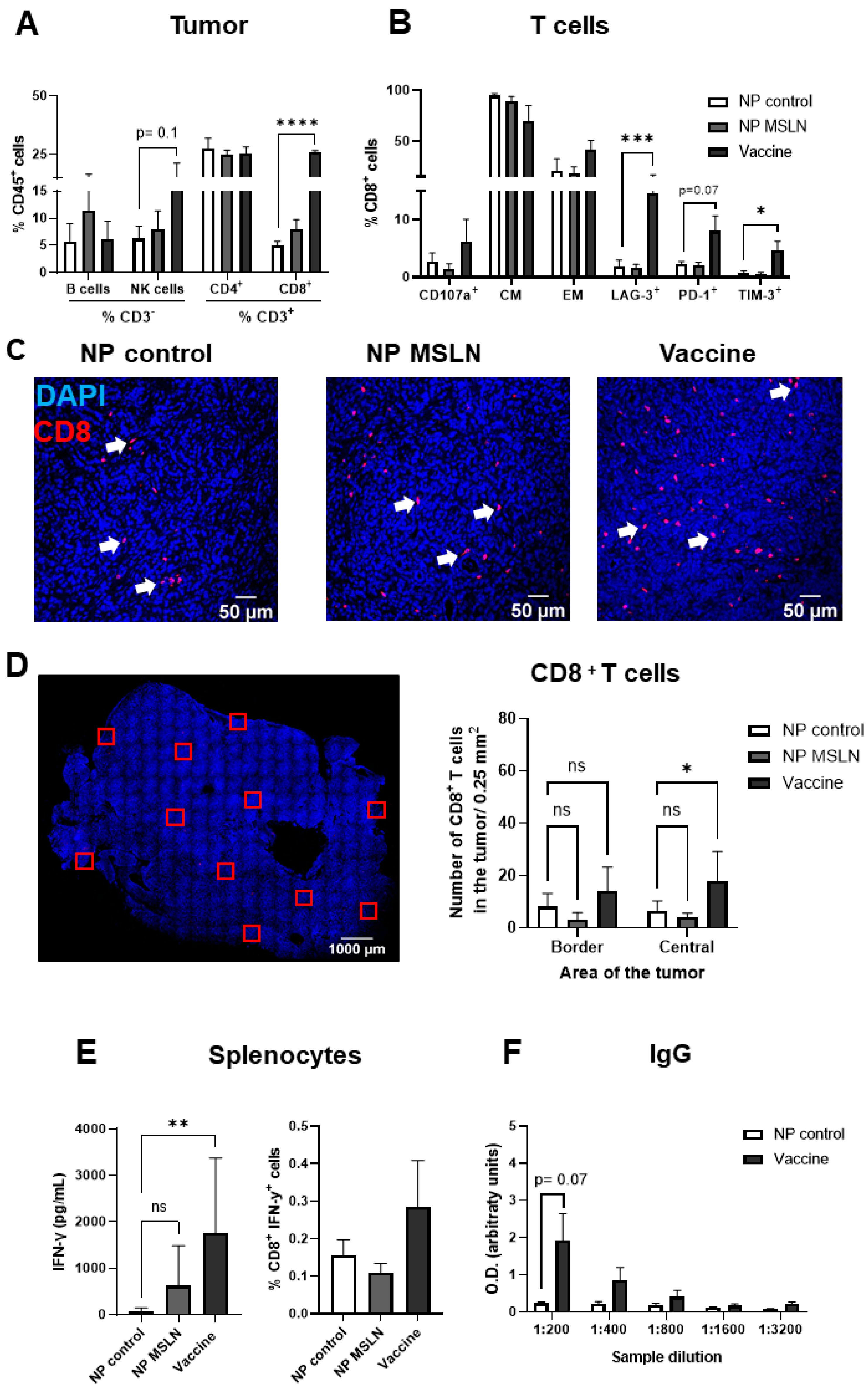 Vaccines 13 00314 g006