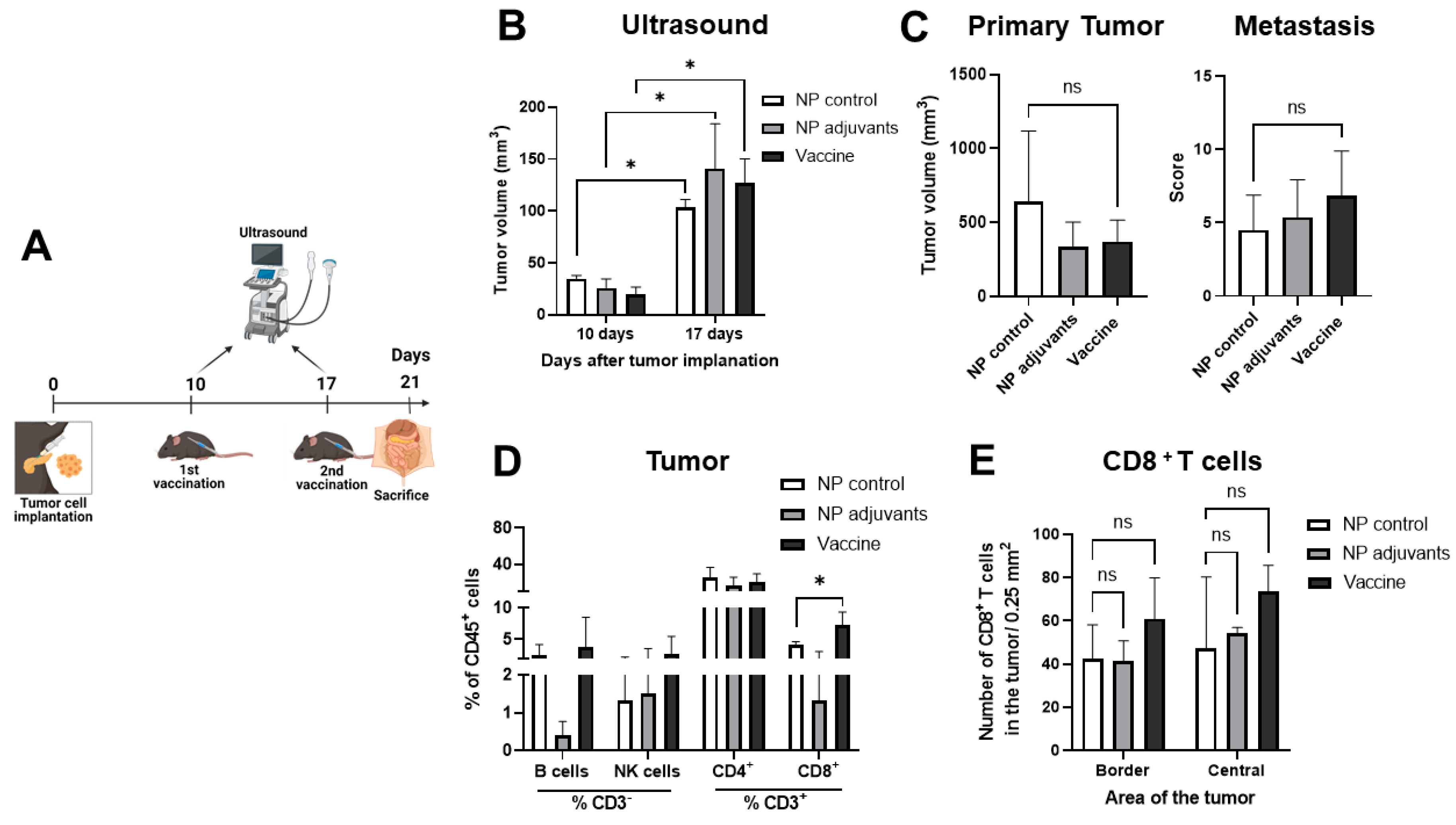 Vaccines 13 00314 g007