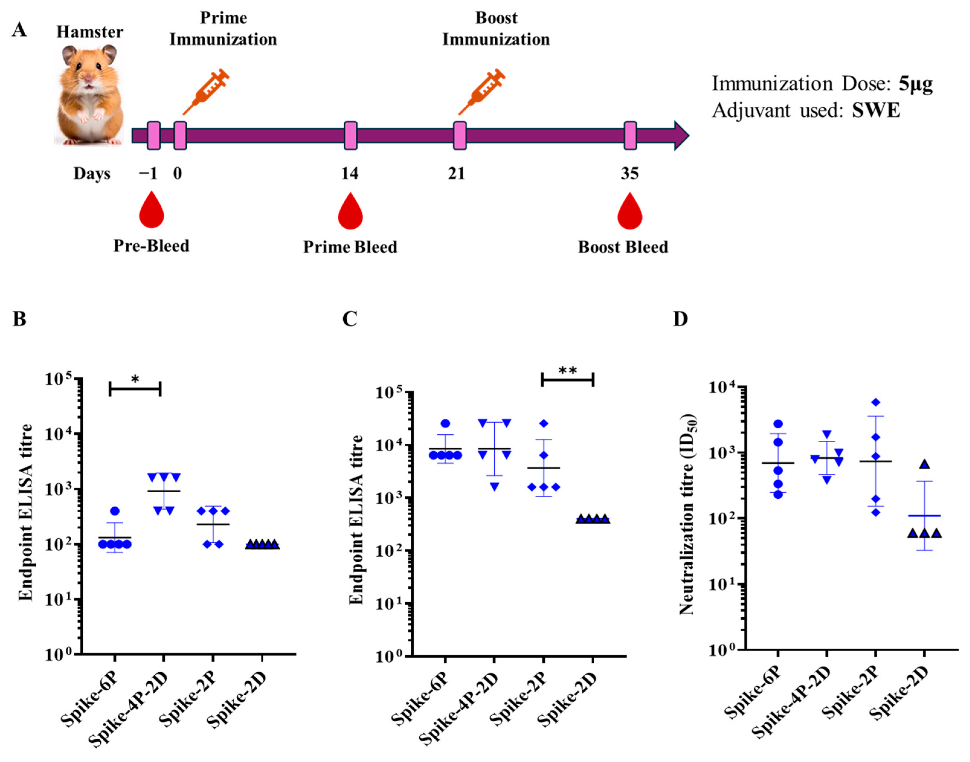 Vaccines 13 00315 g003