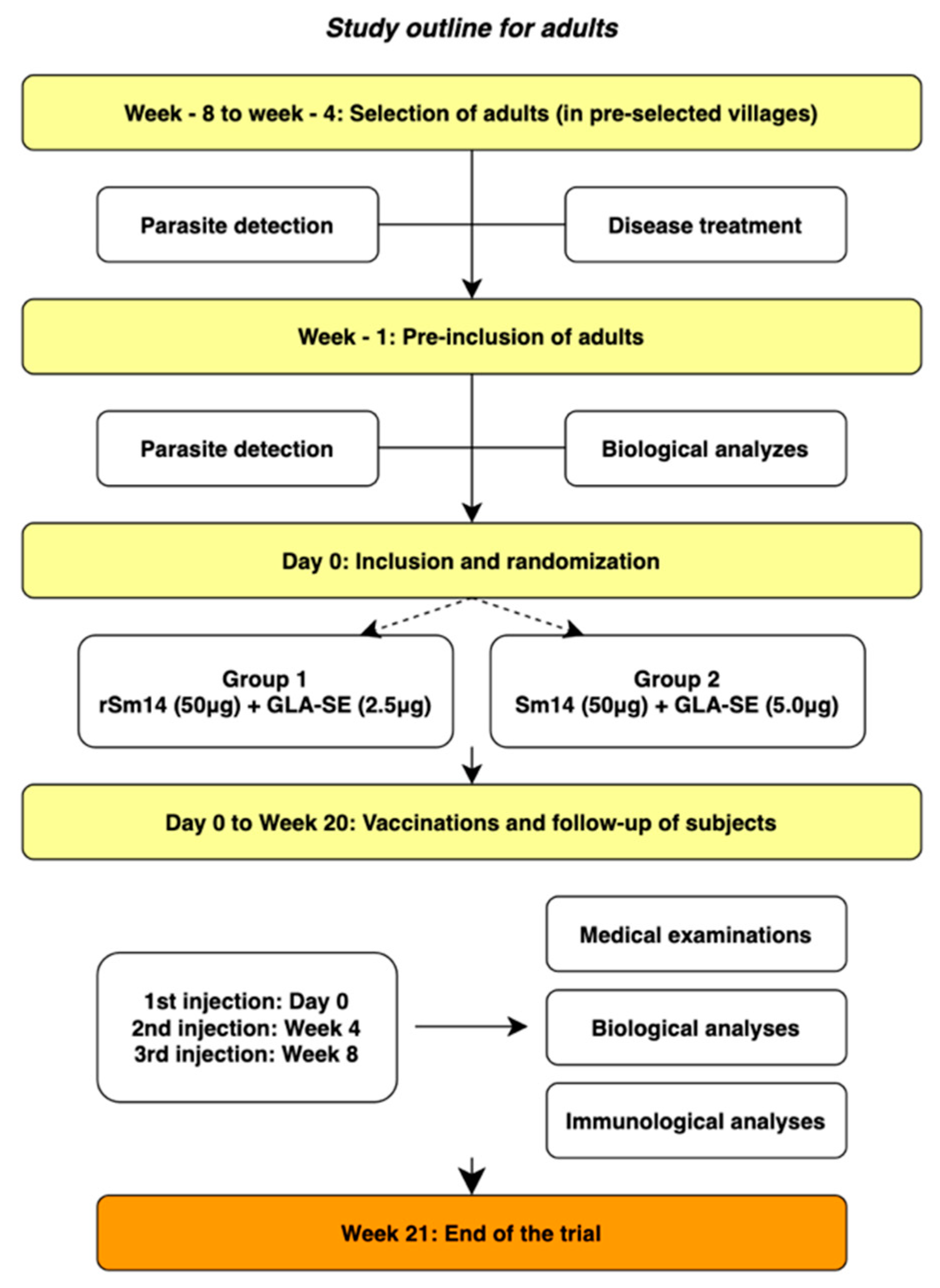 Vaccines 13 00316 g001
