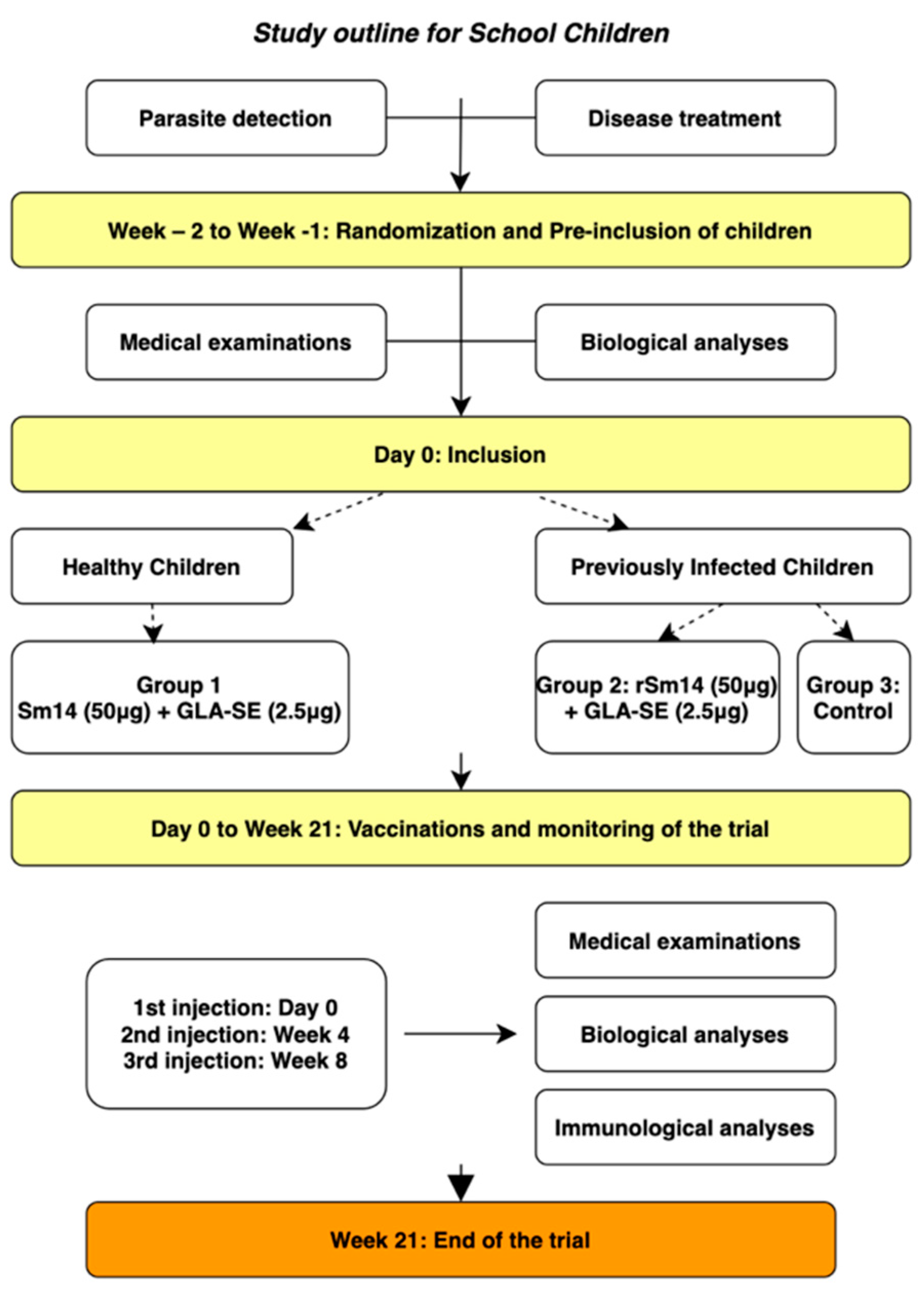 Vaccines 13 00316 g002