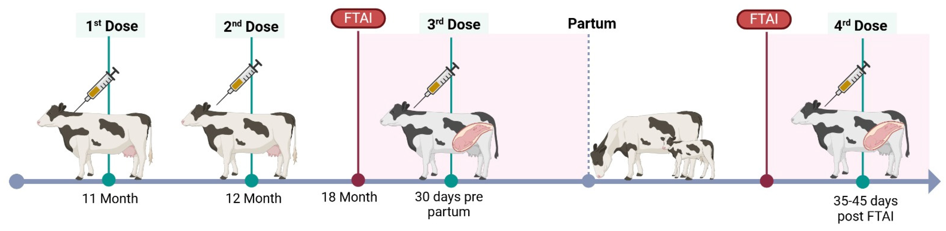 Vaccines 13 00319 g001
