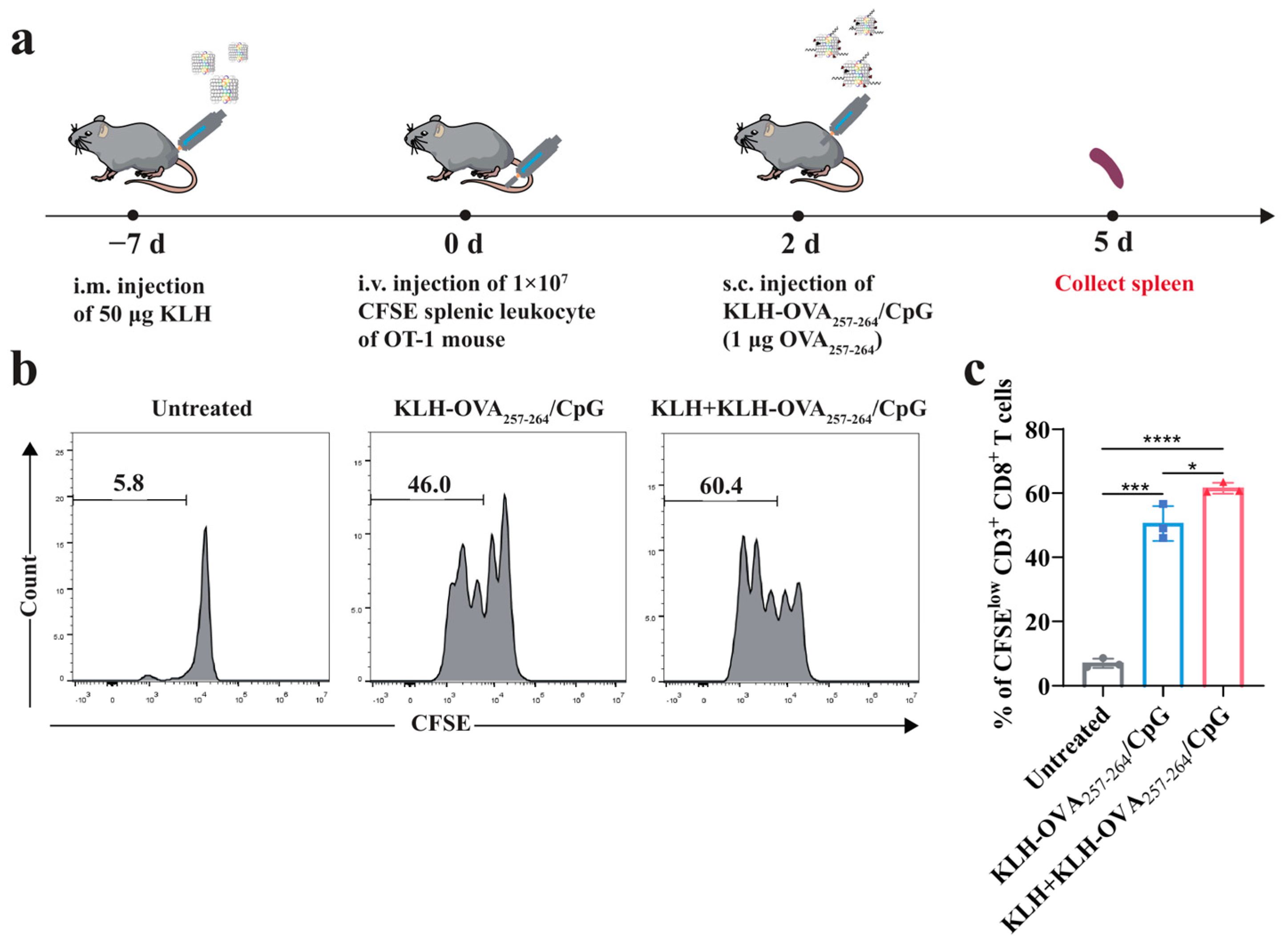 Vaccines 13 00324 g003