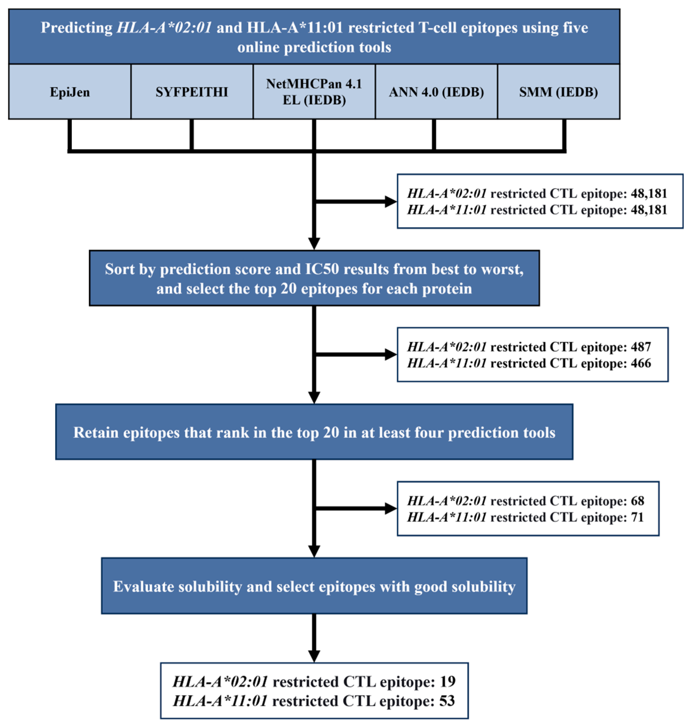 Vaccines 13 00331 g001