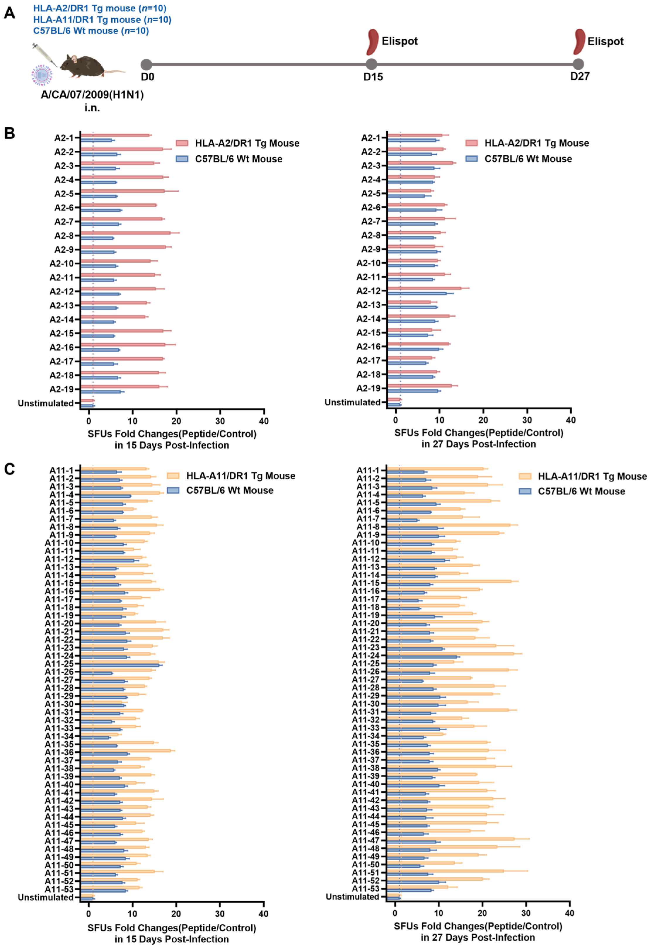 Vaccines 13 00331 g003