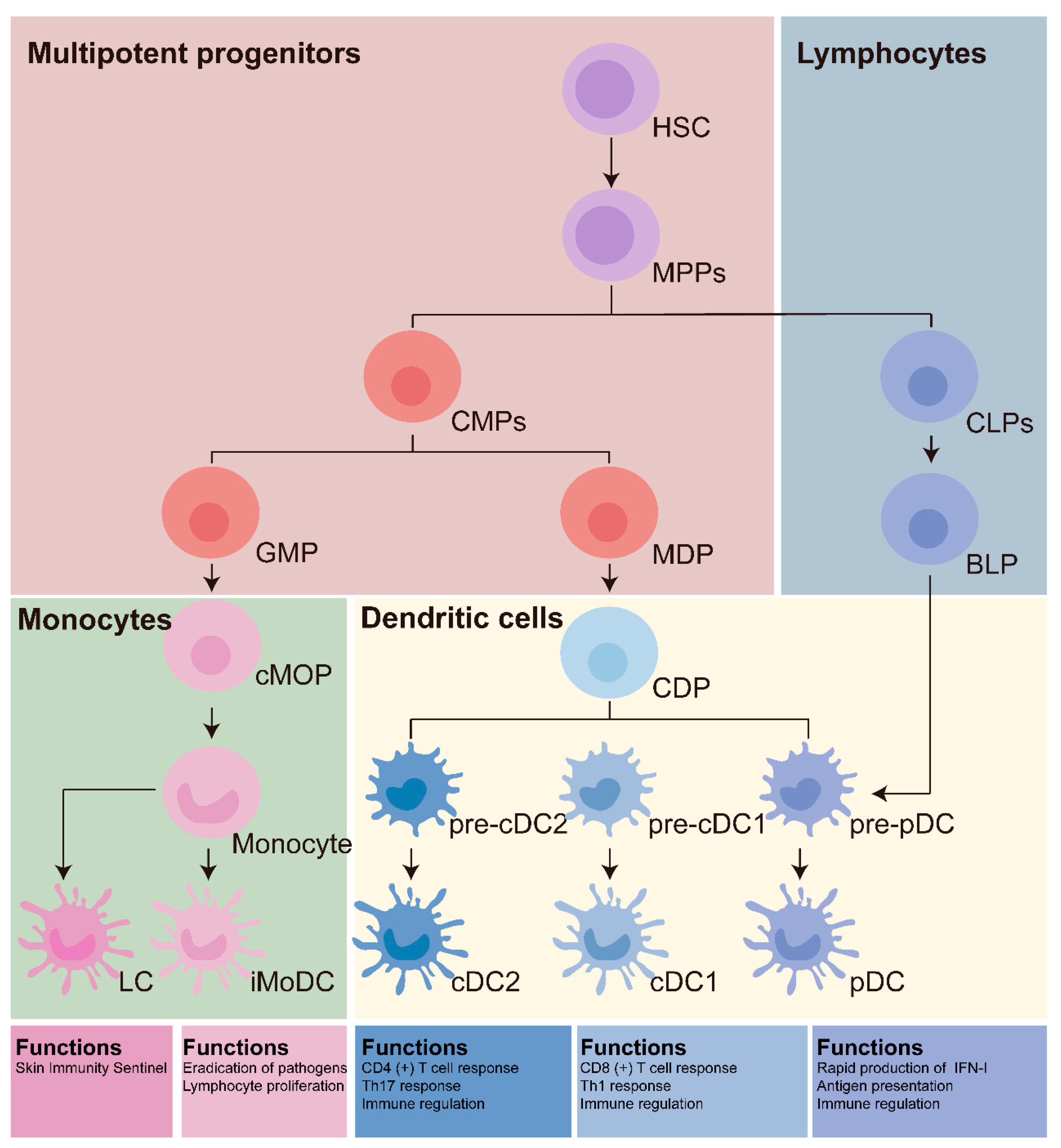 Vaccines 13 00337 g001