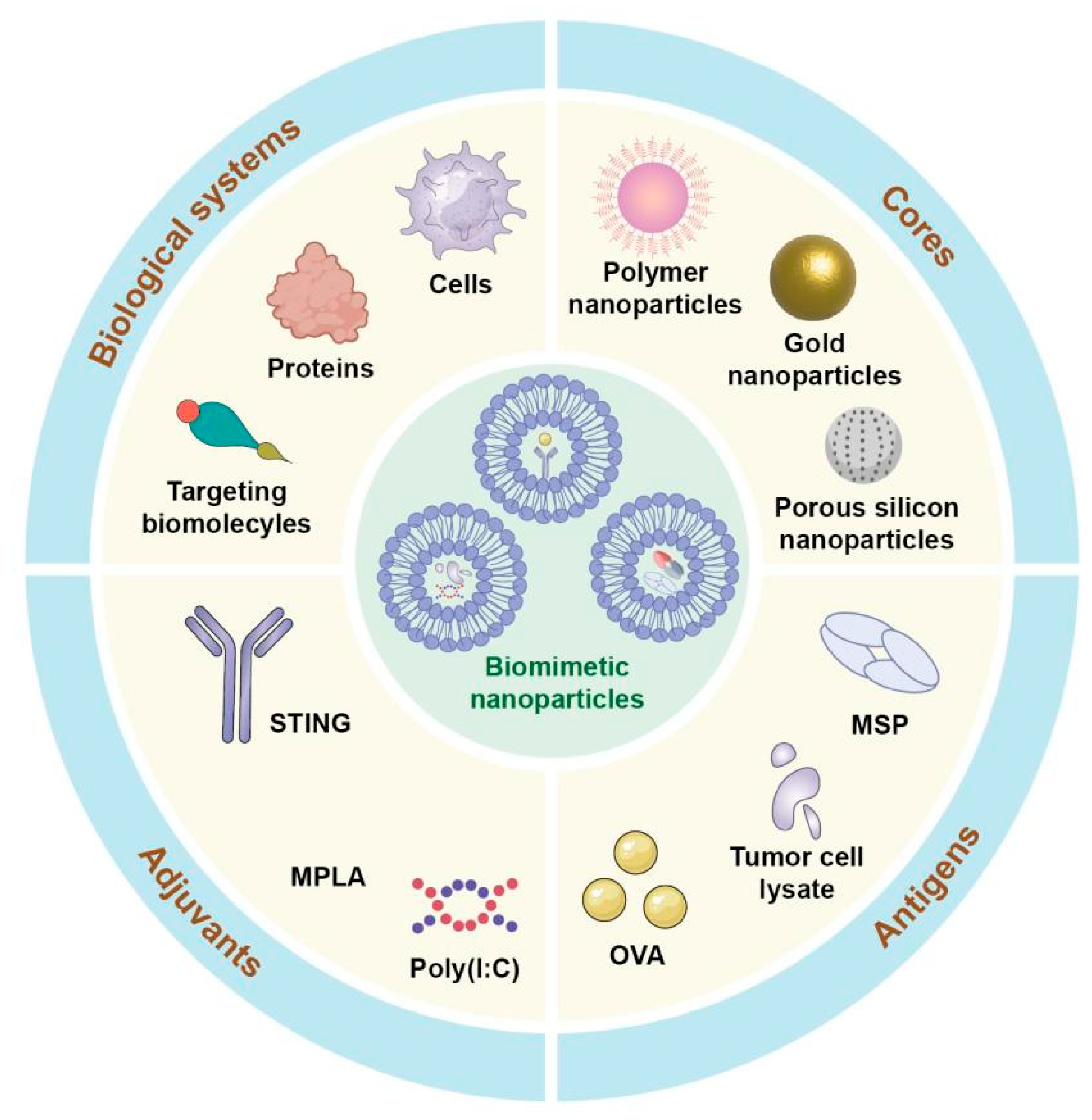 Vaccines 13 00337 g003