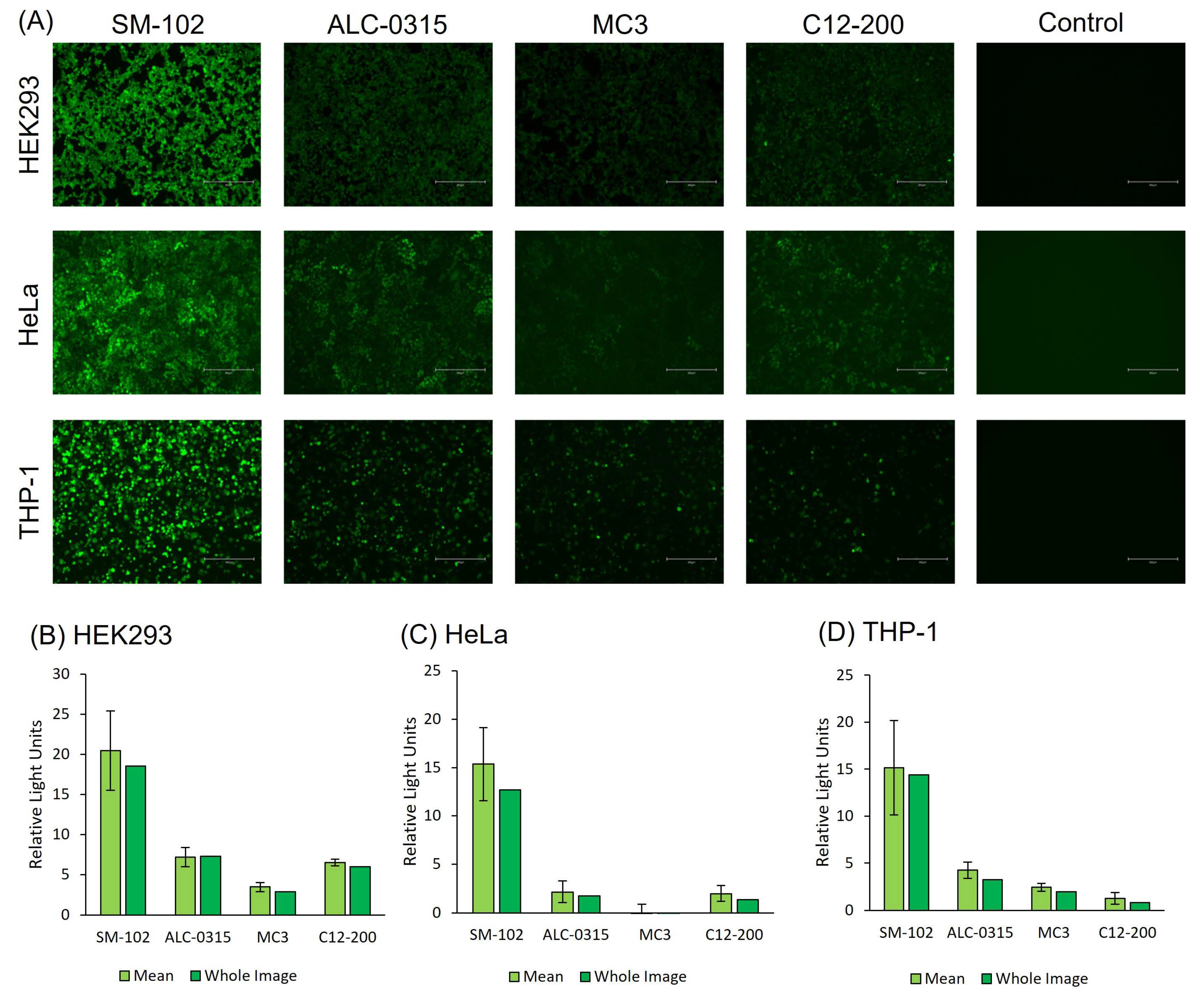 Vaccines 13 00339 g004