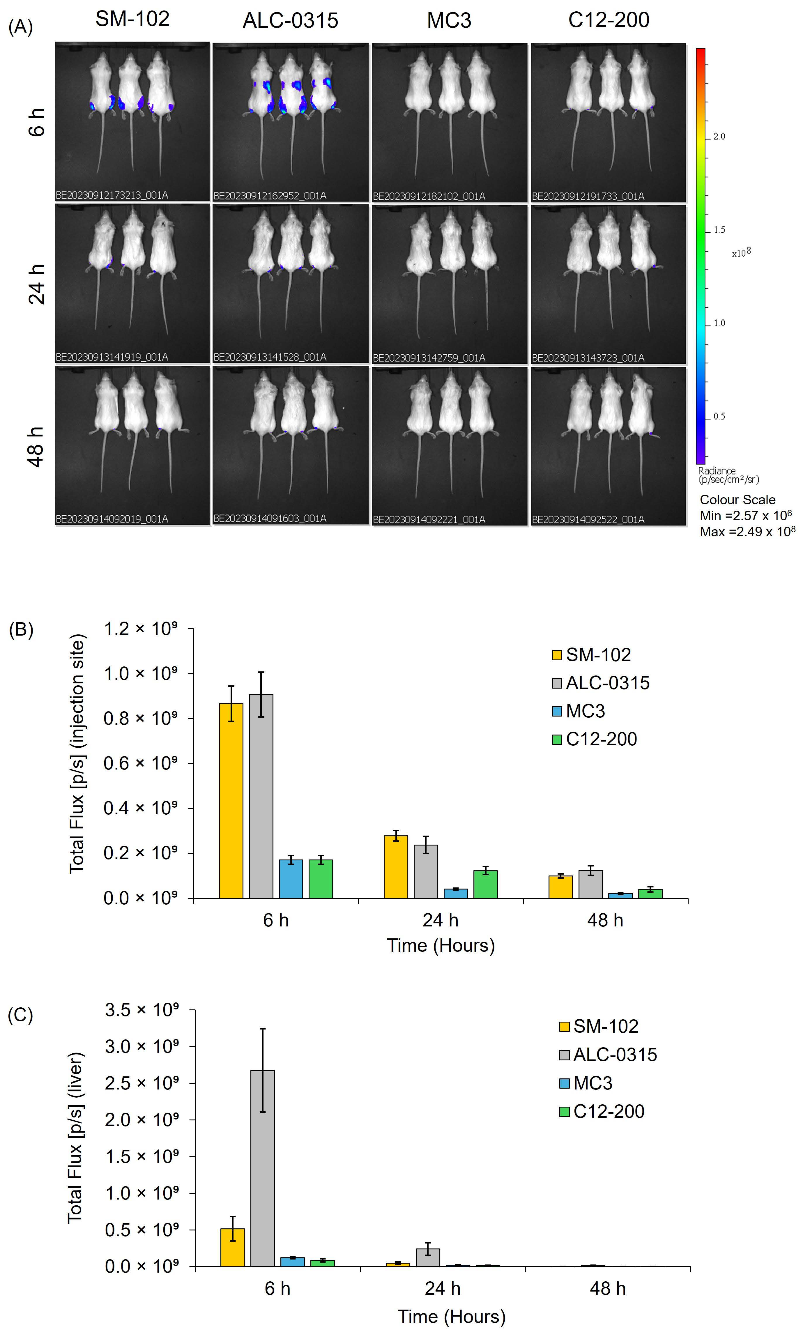 Vaccines 13 00339 g005