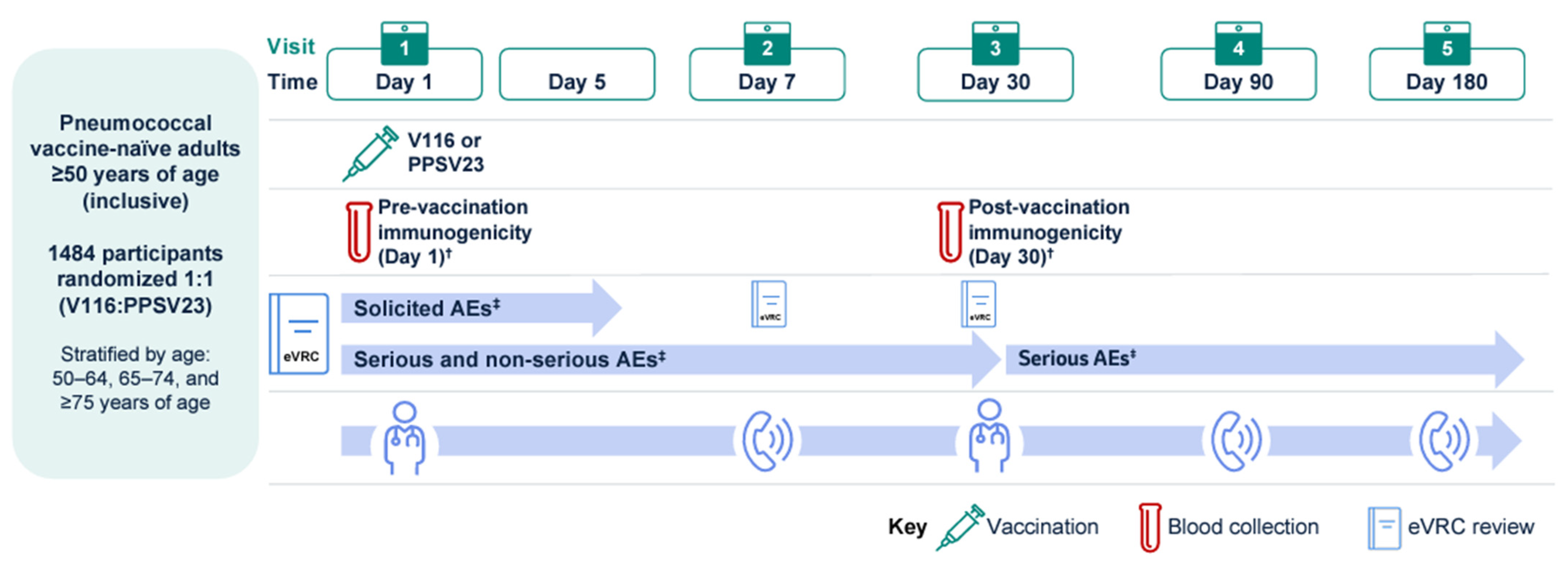 Vaccines 13 00341 g001
