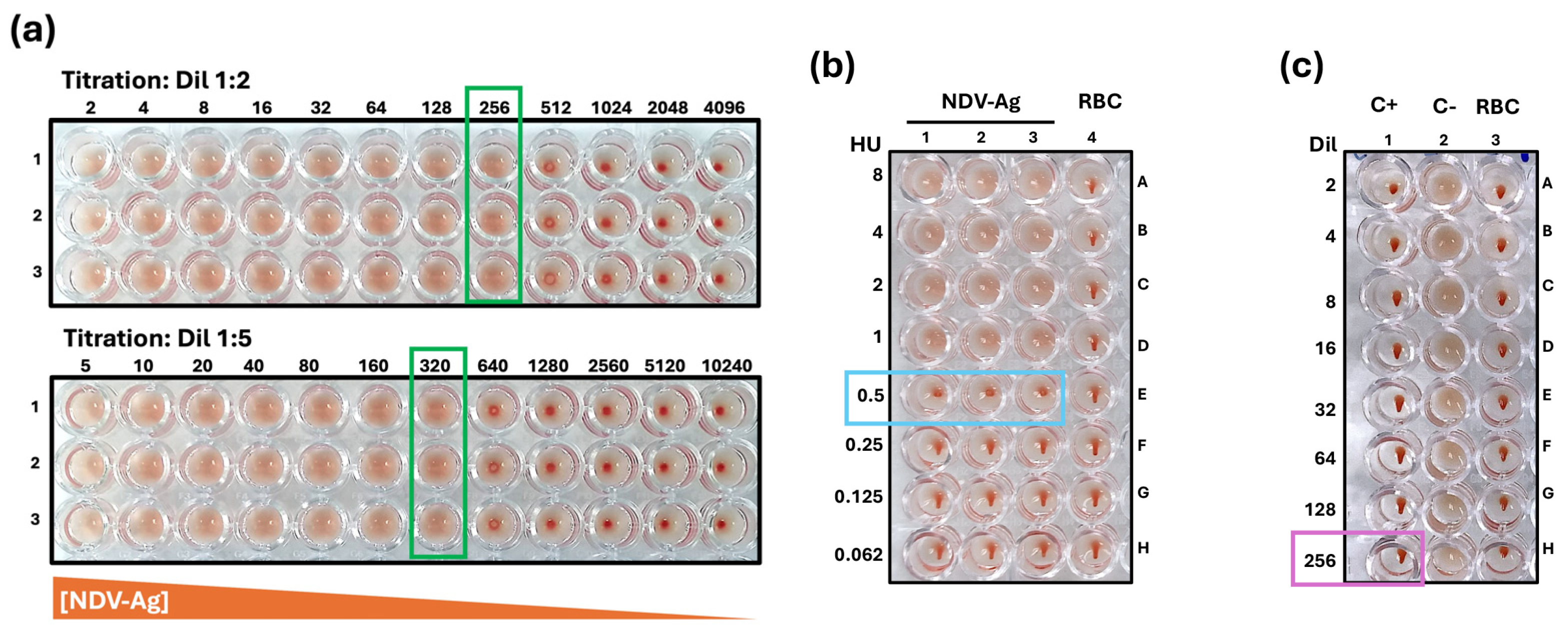 Vaccines 13 00342 g001