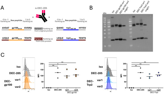 Vaccines 13 00346 g001