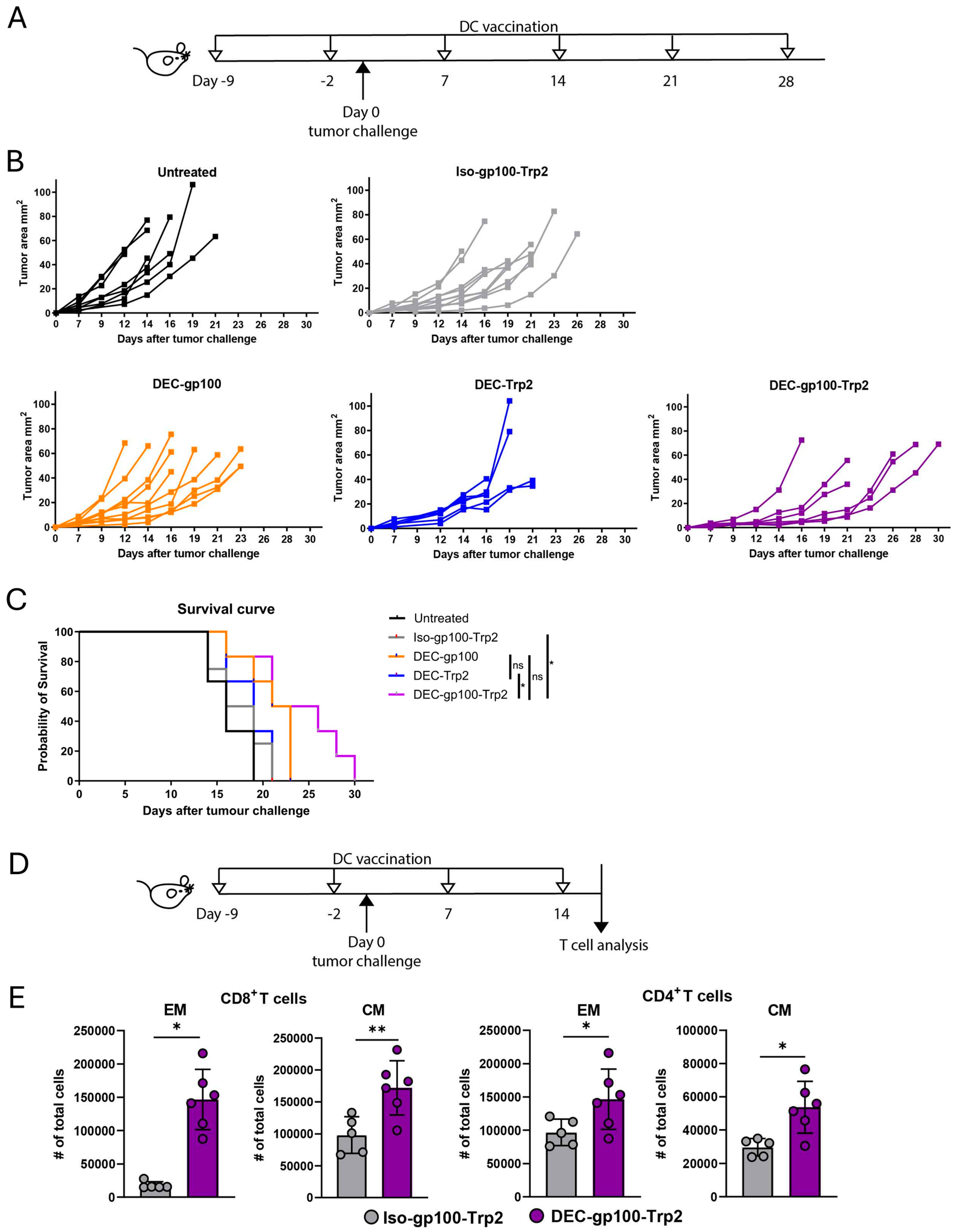 Vaccines 13 00346 g005