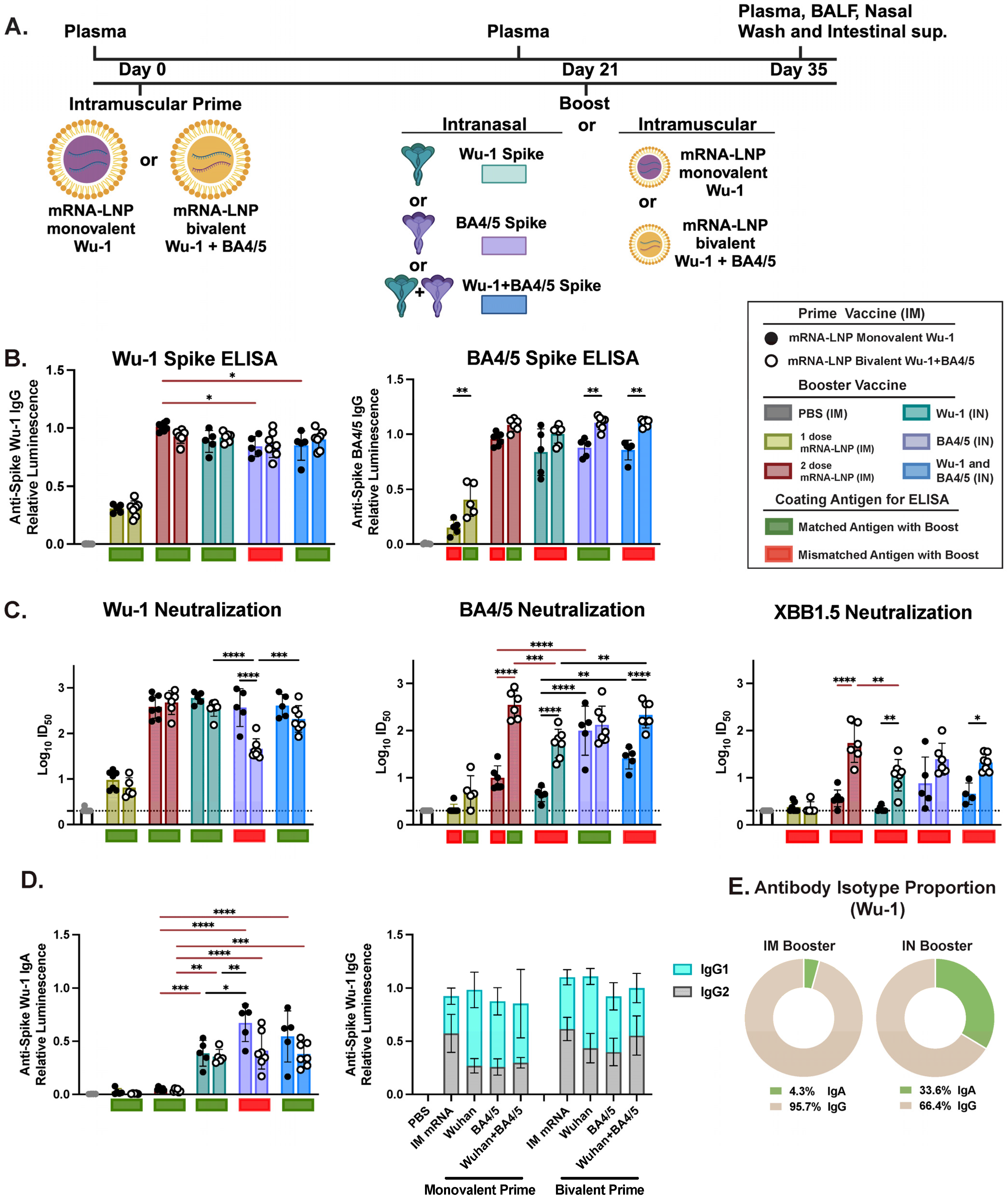 Vaccines 13 00351 g001