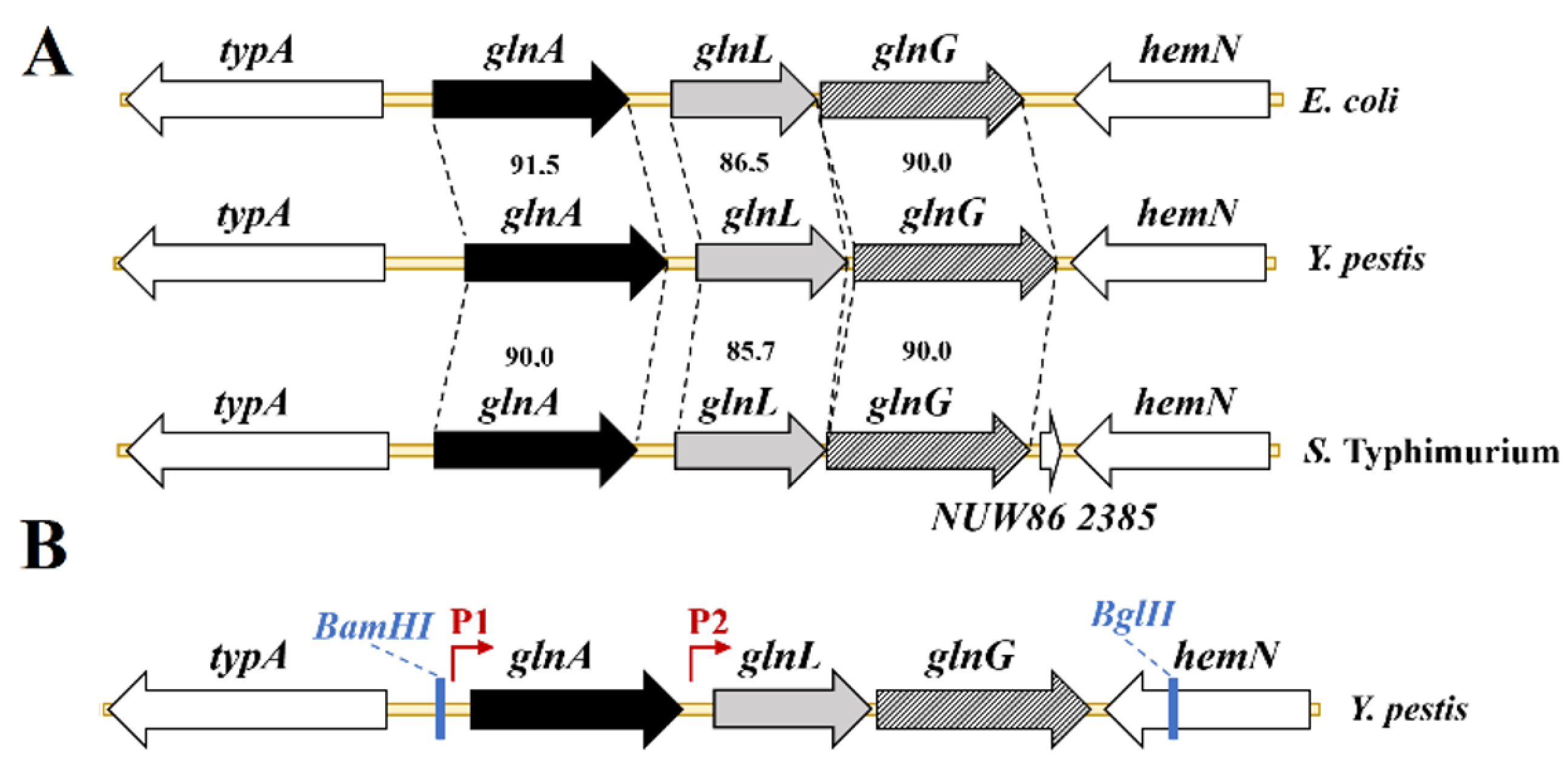 Vaccines 13 00353 g001