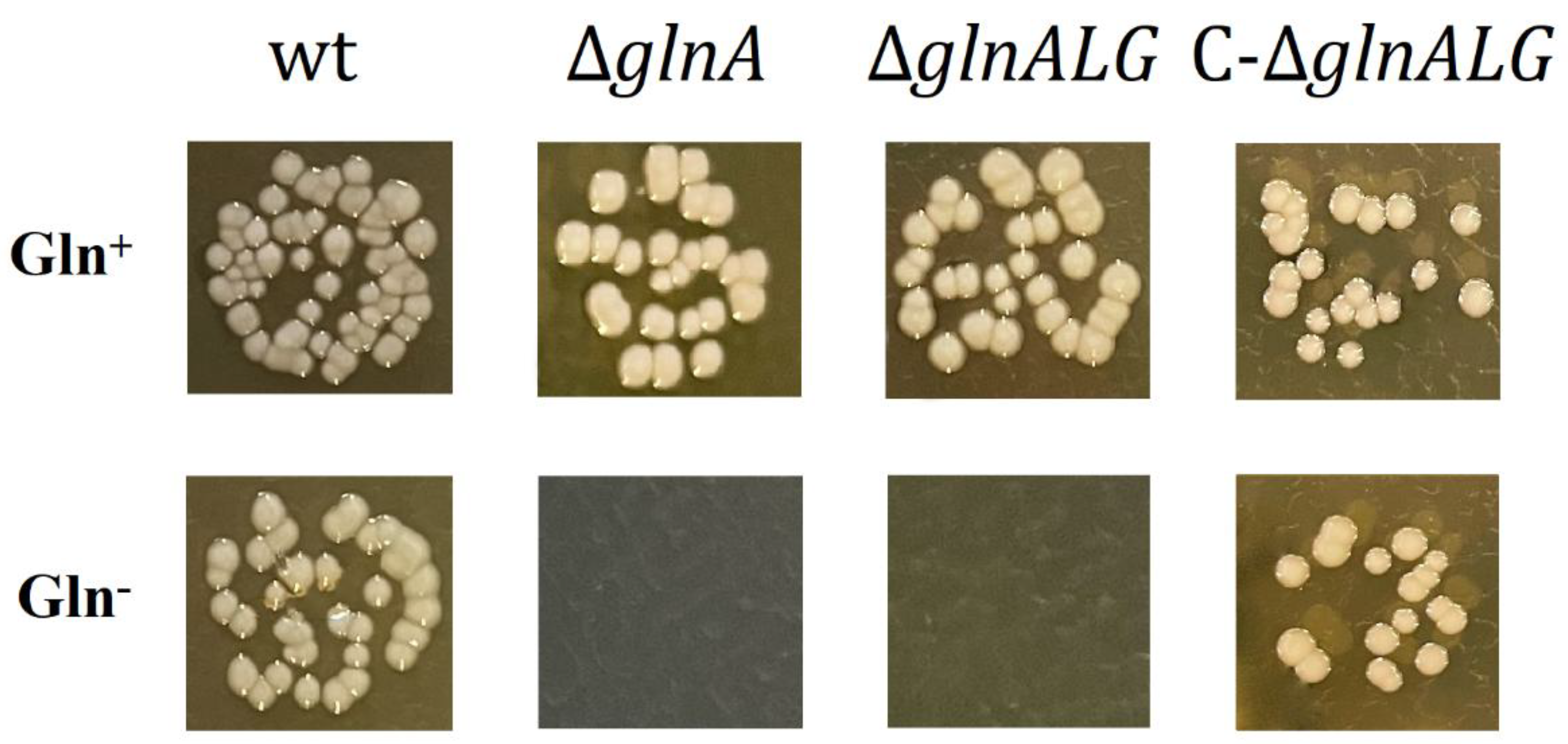 Vaccines 13 00353 g003