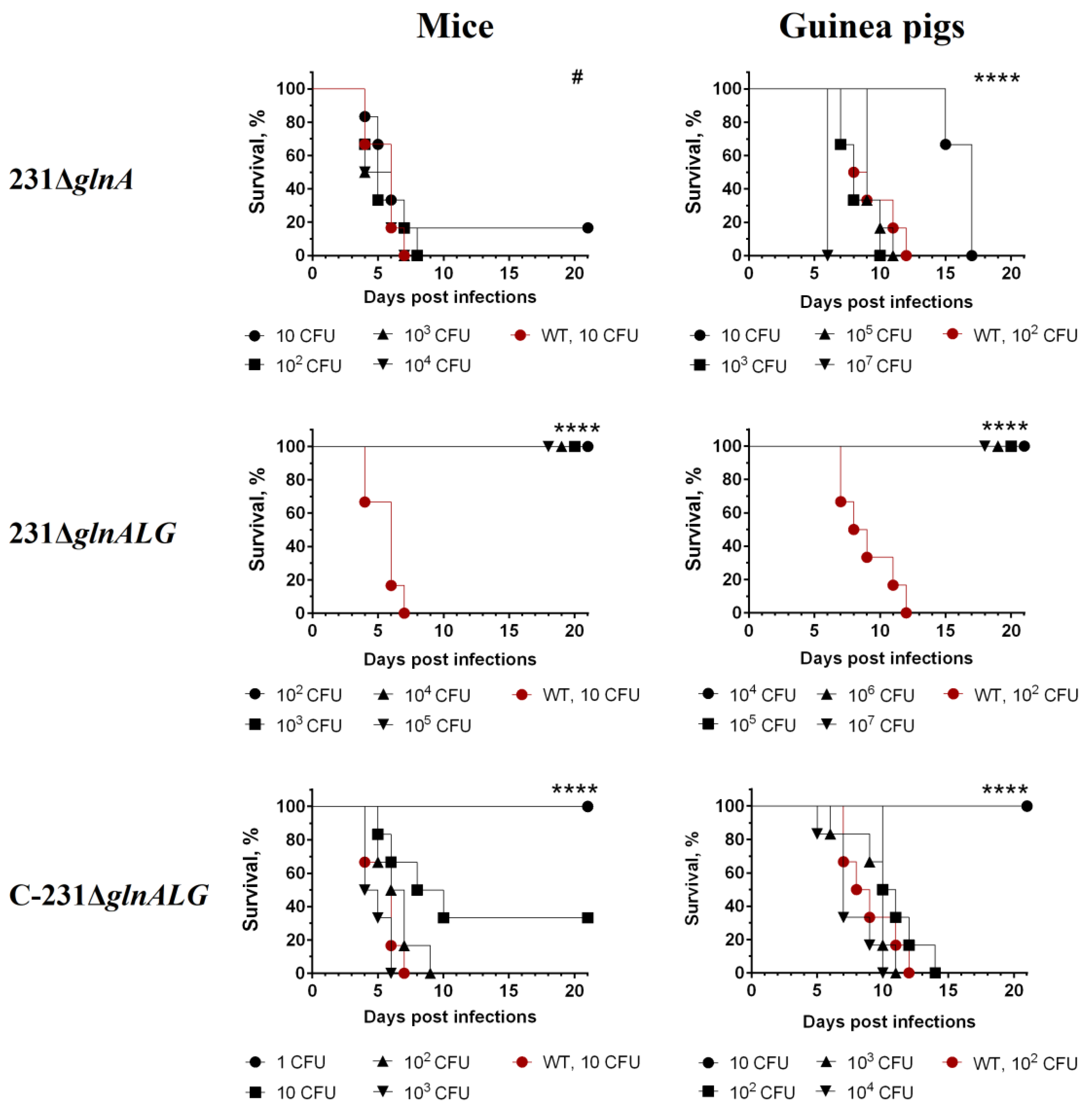 Vaccines 13 00353 g004