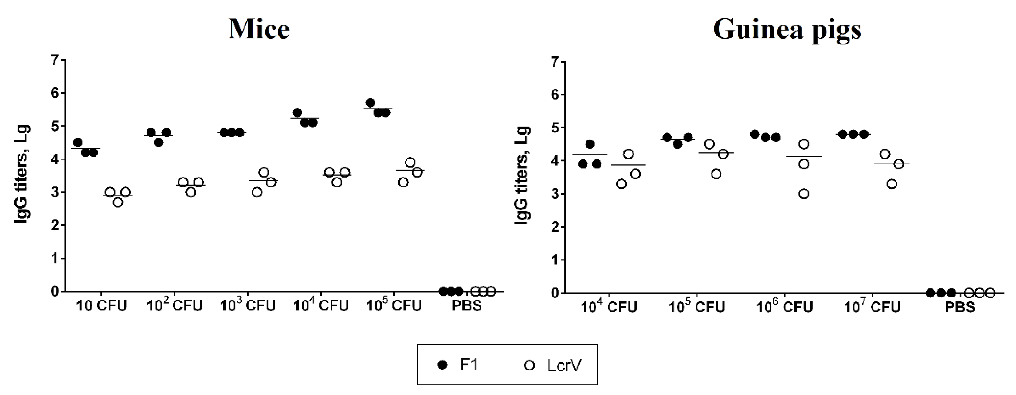 Vaccines 13 00353 g005