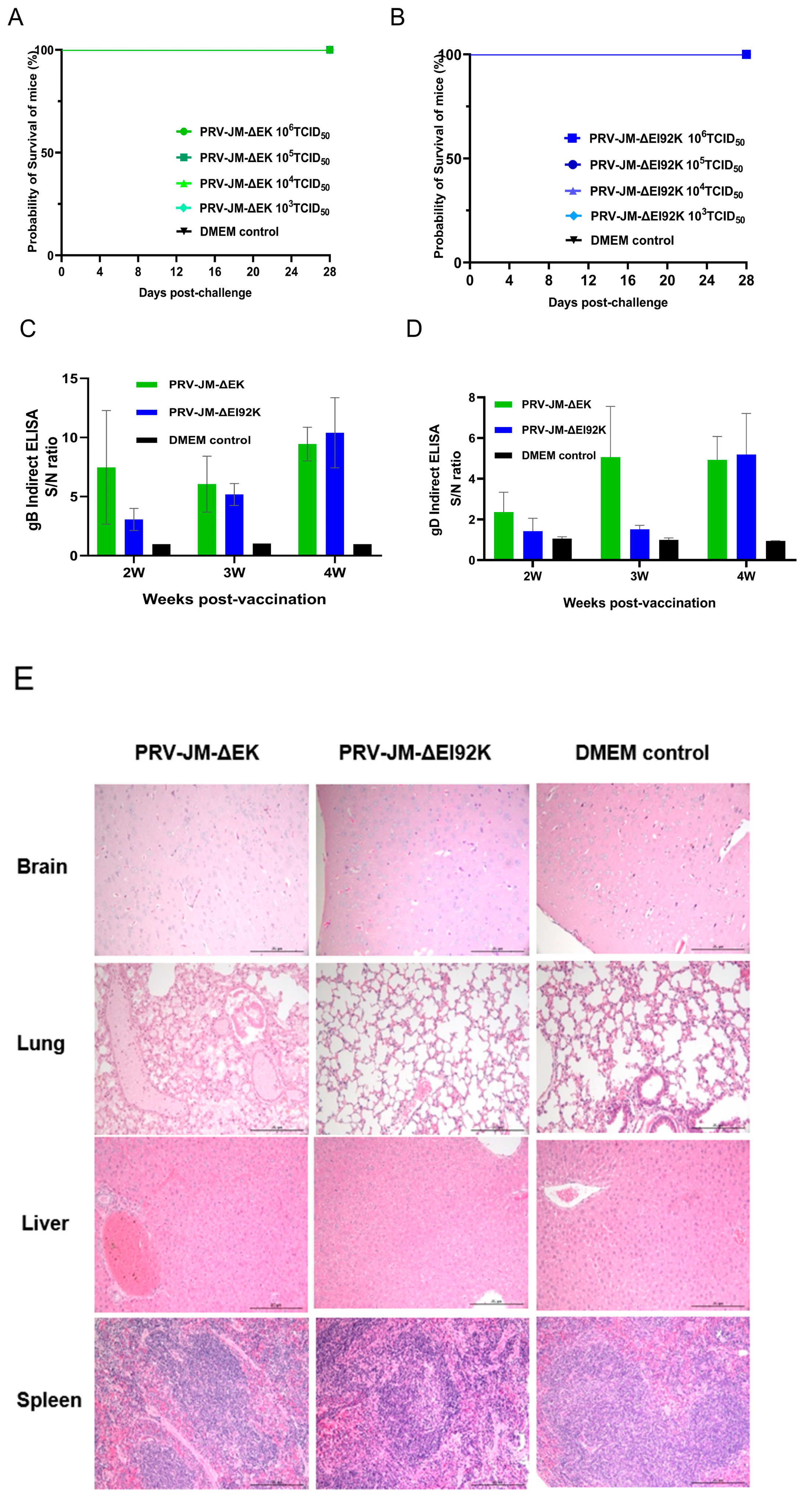 Vaccines 13 00359 g002