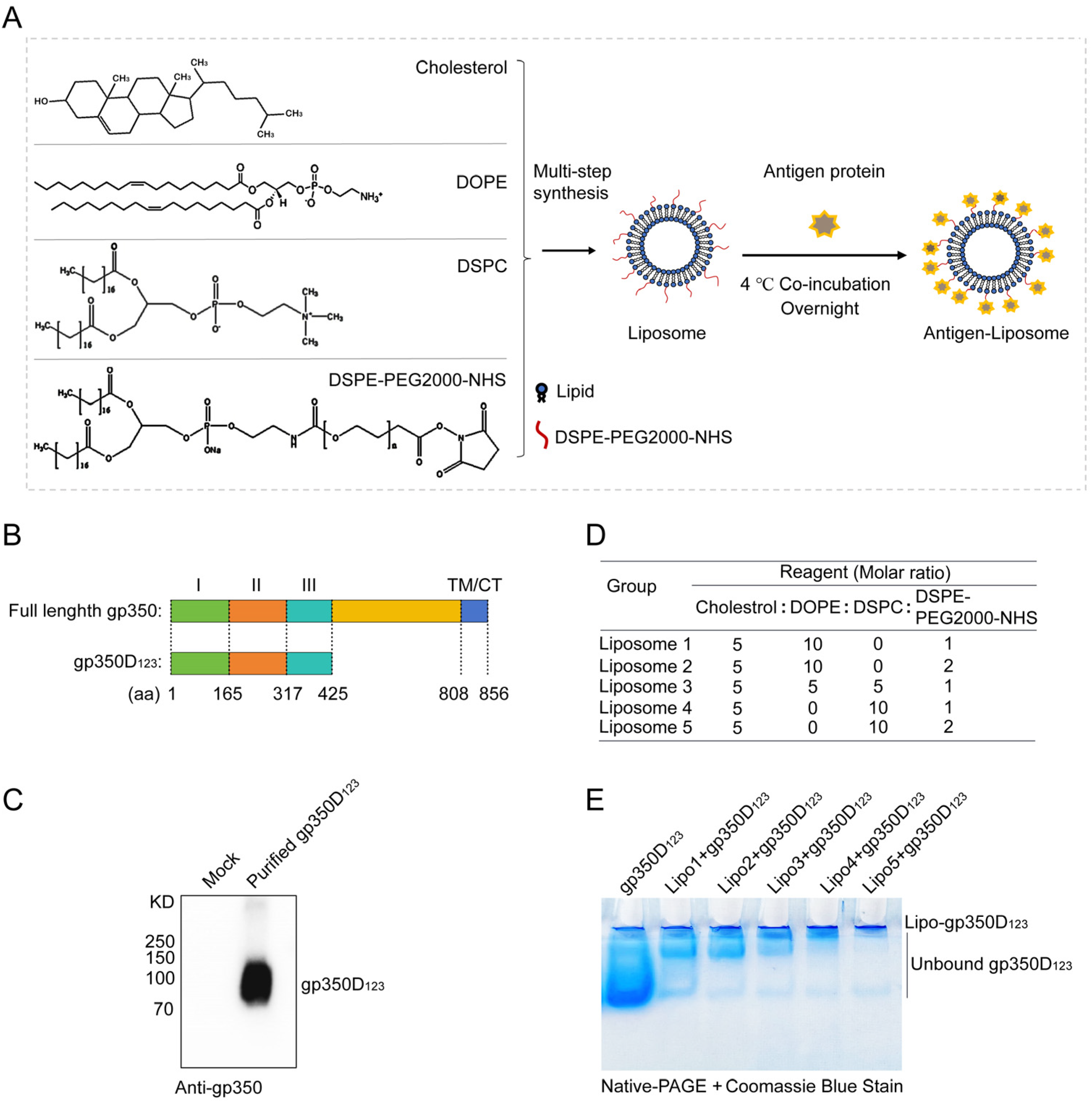 Vaccines 13 00360 g001