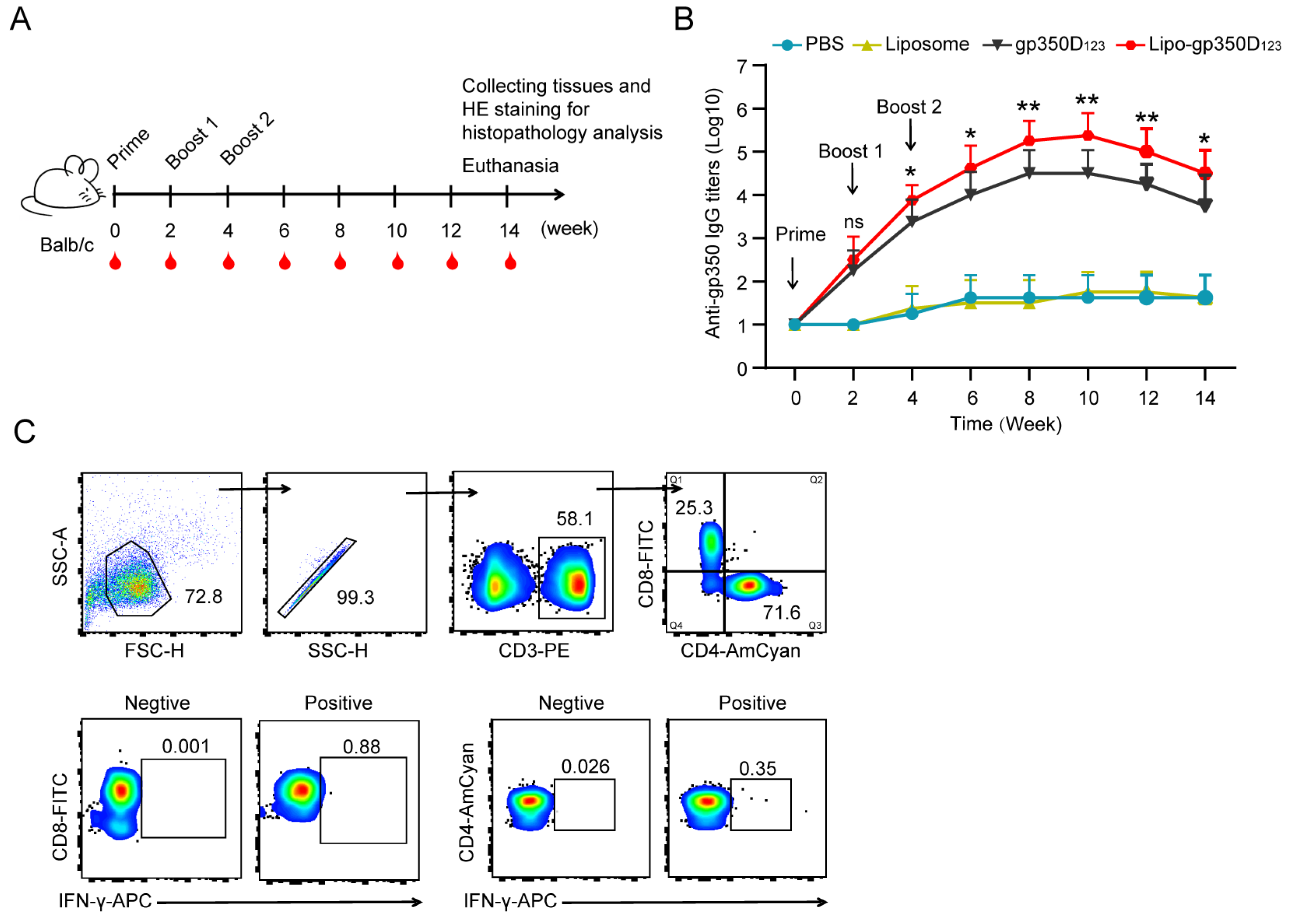 Vaccines 13 00360 g003a