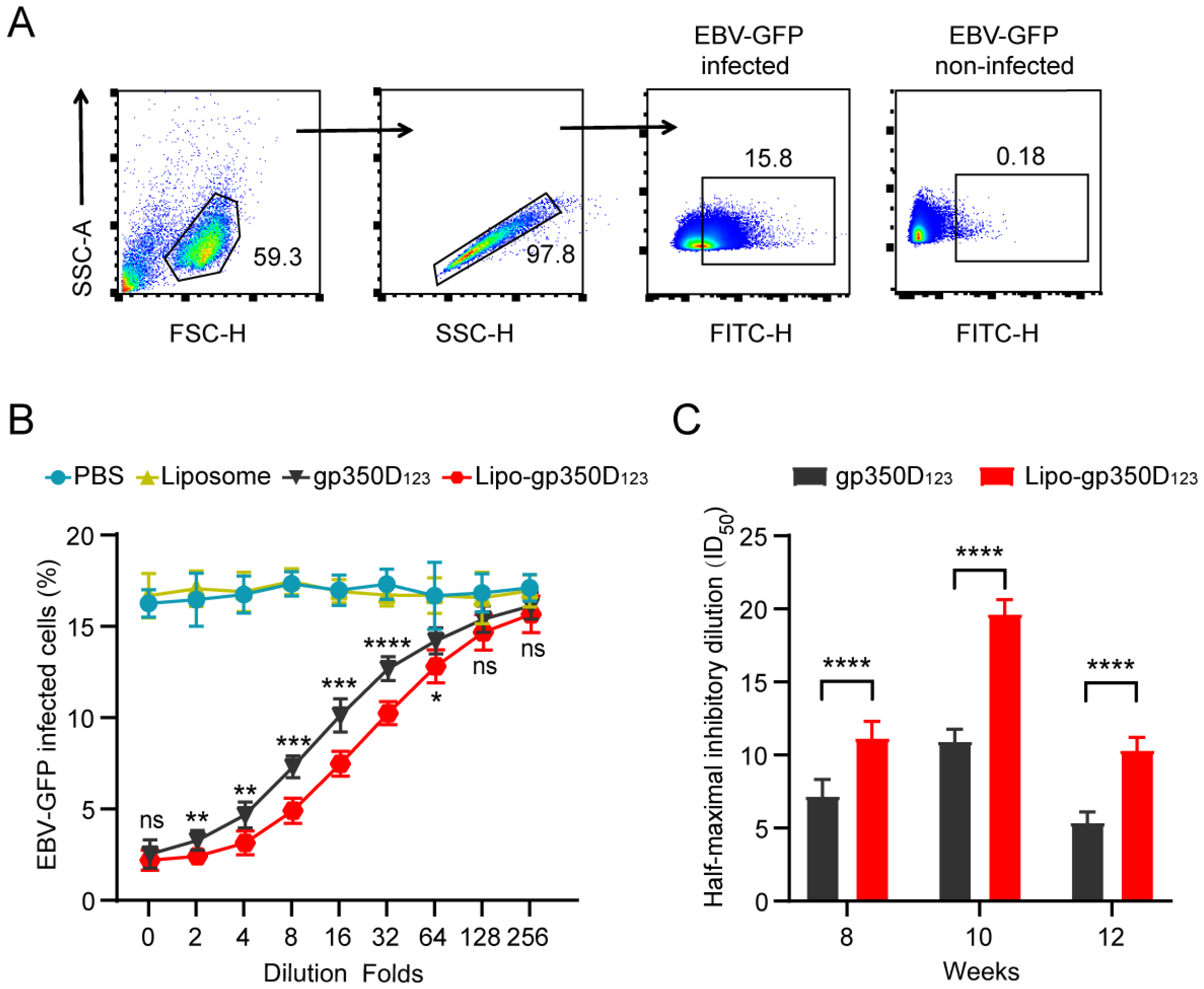 Vaccines 13 00360 g004
