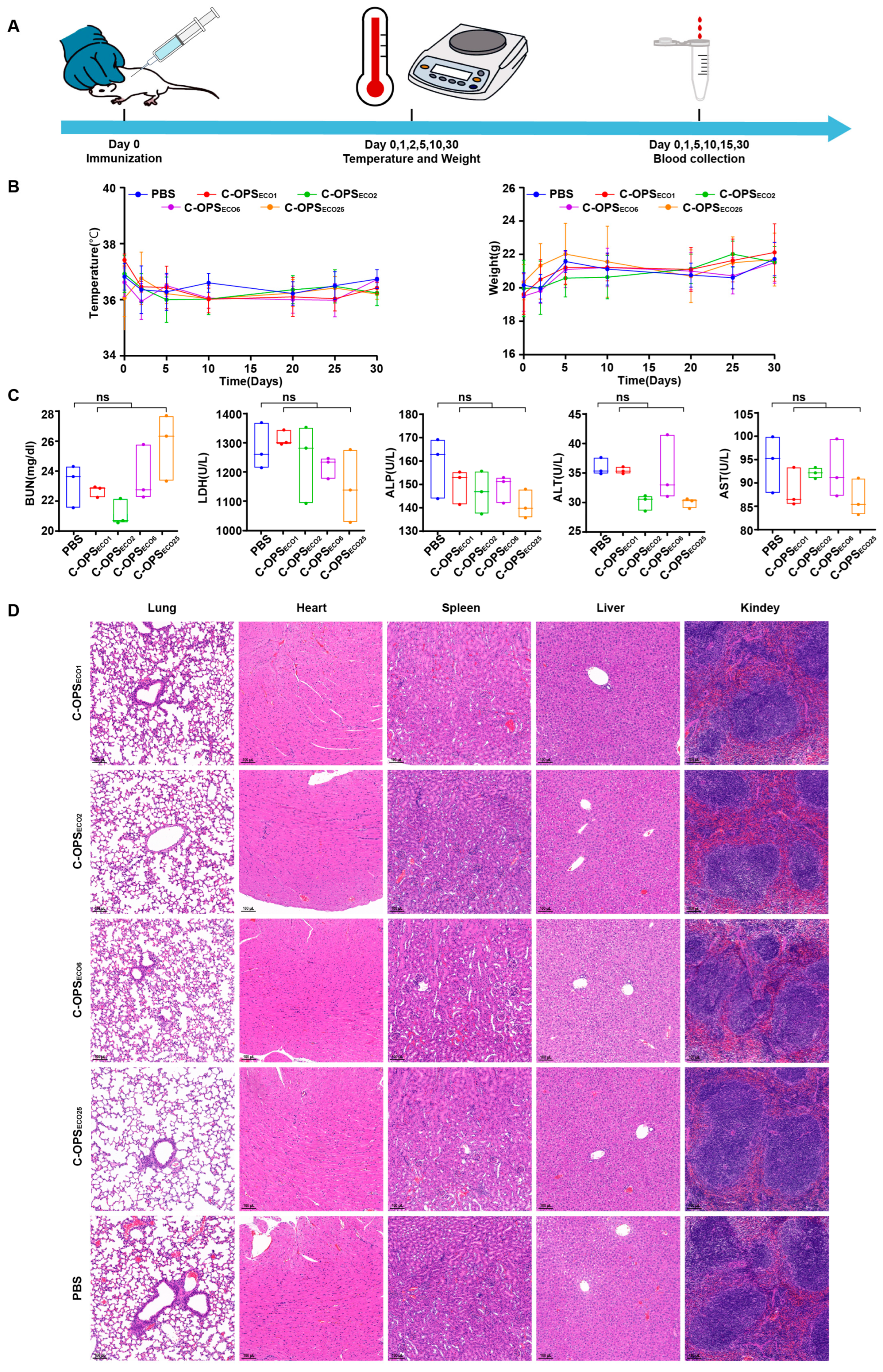 Vaccines 13 00362 g003