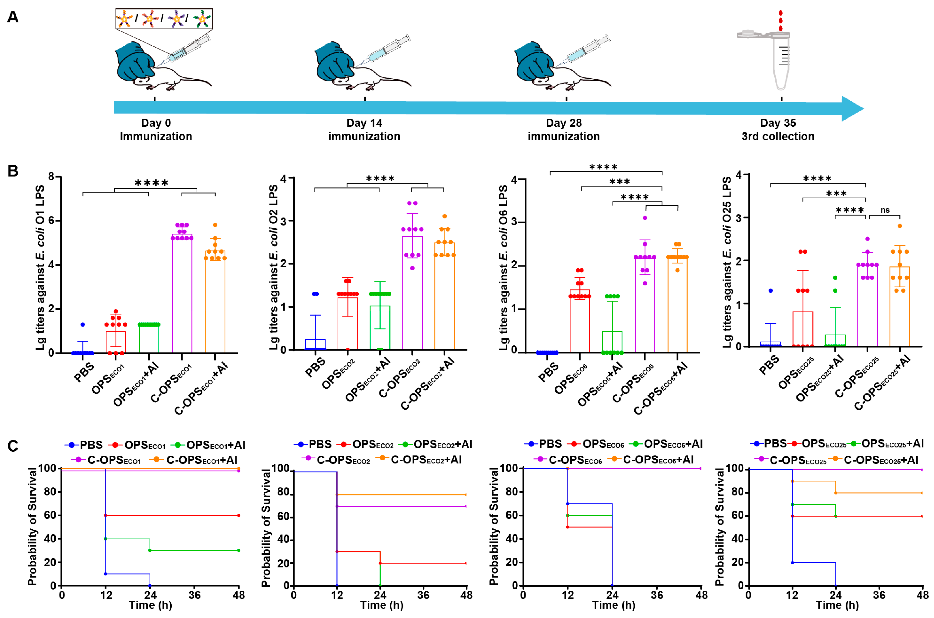 Vaccines 13 00362 g004
