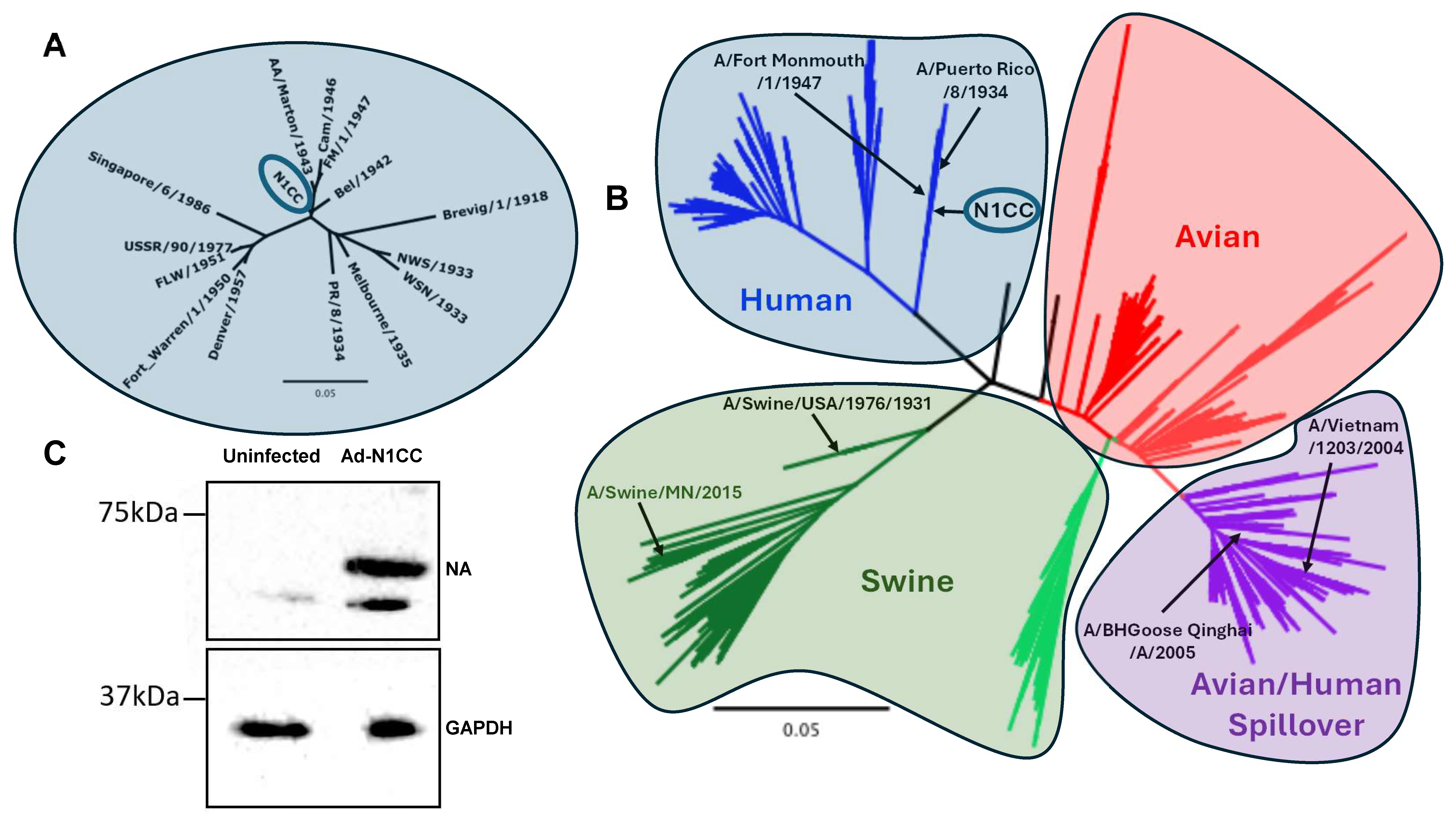Vaccines 13 00364 g001