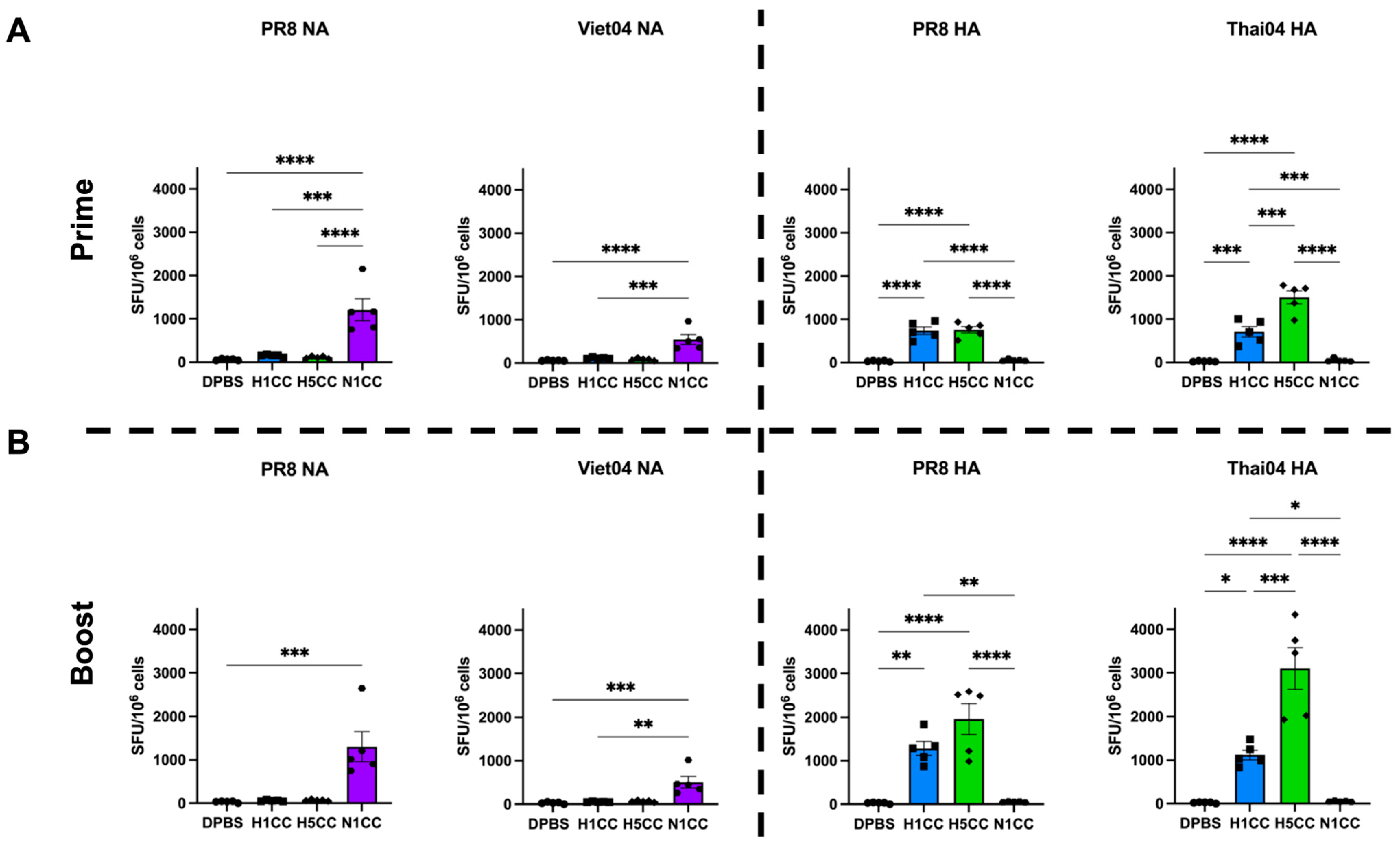 Vaccines 13 00364 g004