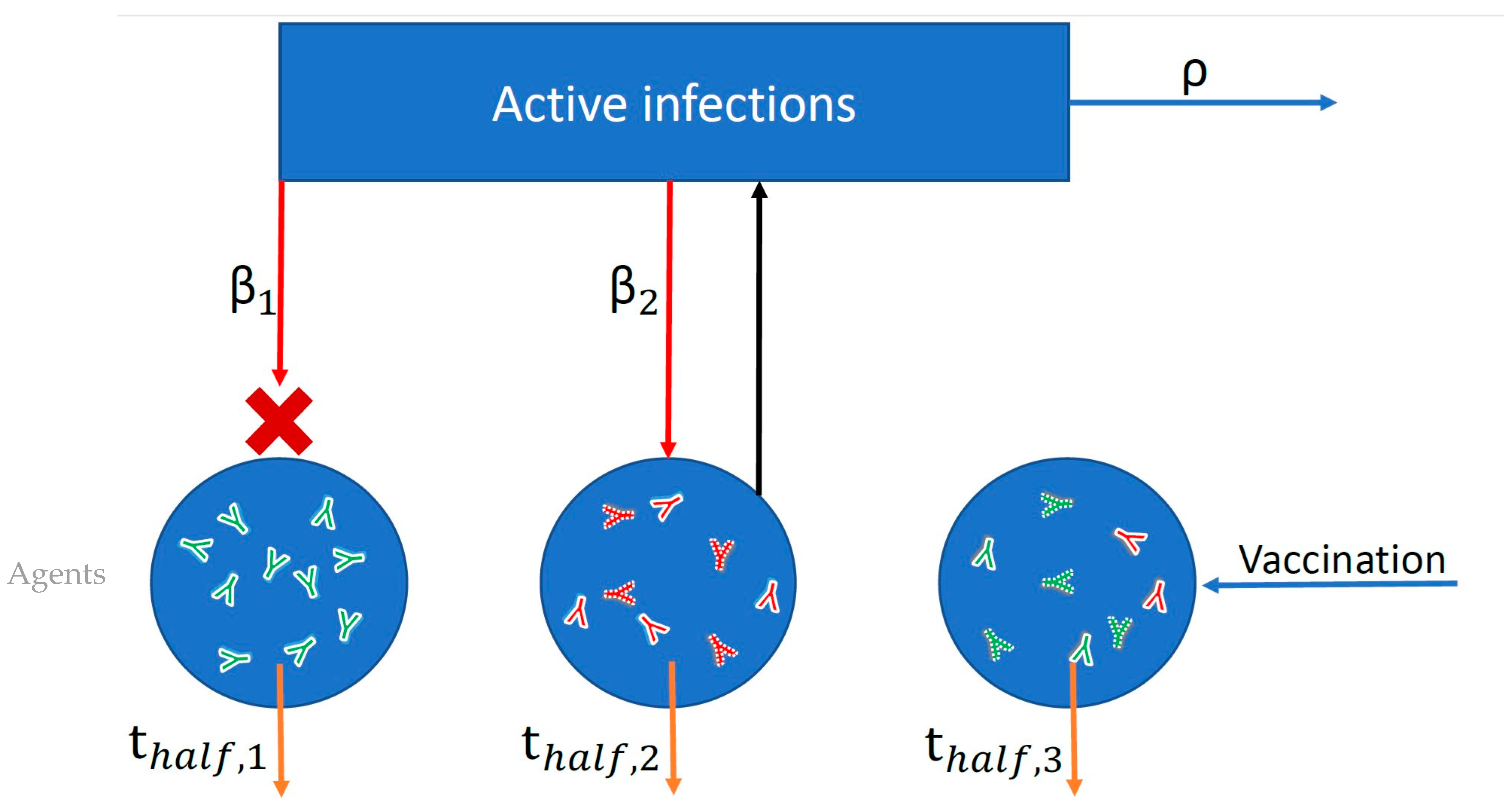 Vaccines 13 00368 g001