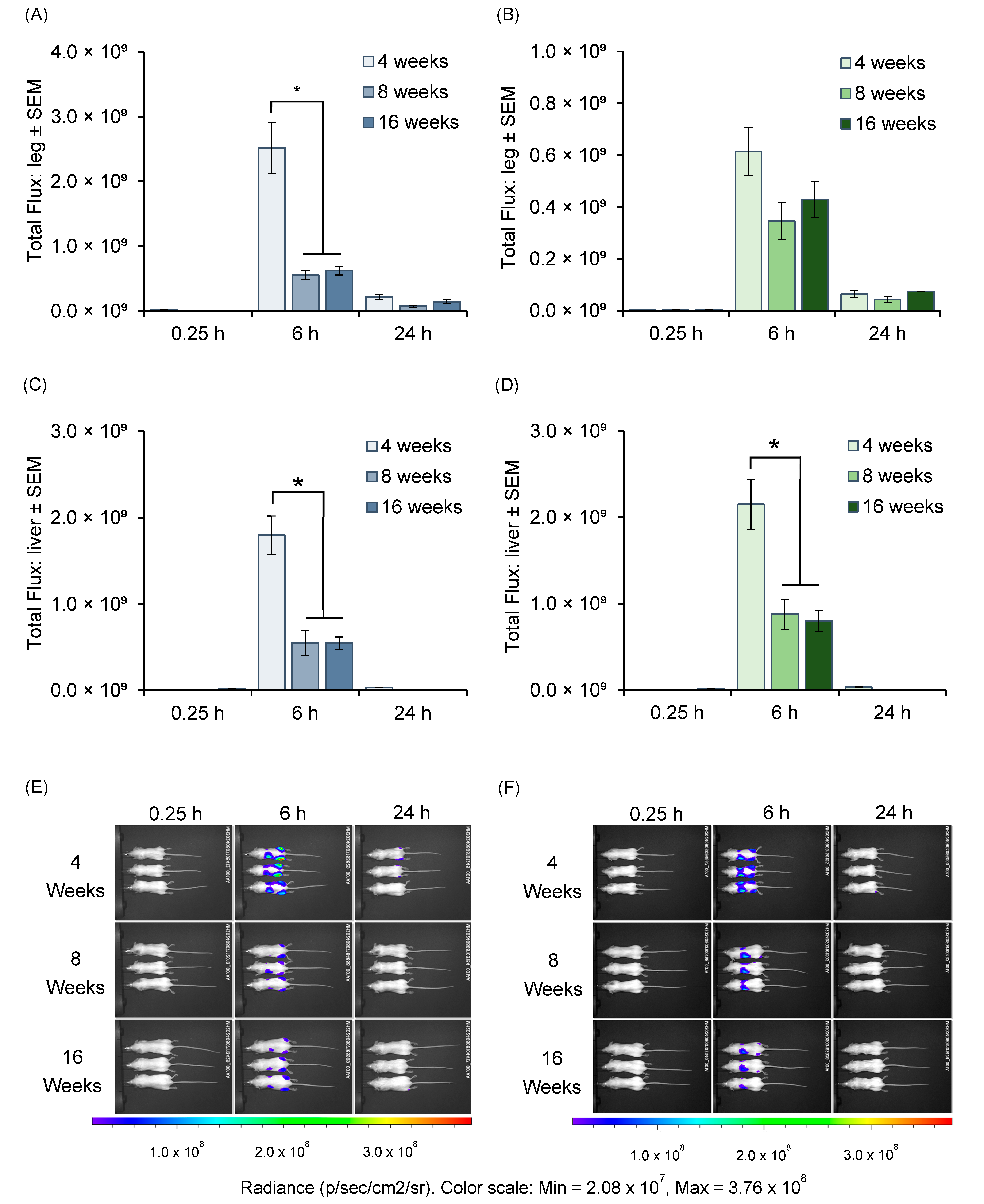 Vaccines 13 00370 g002