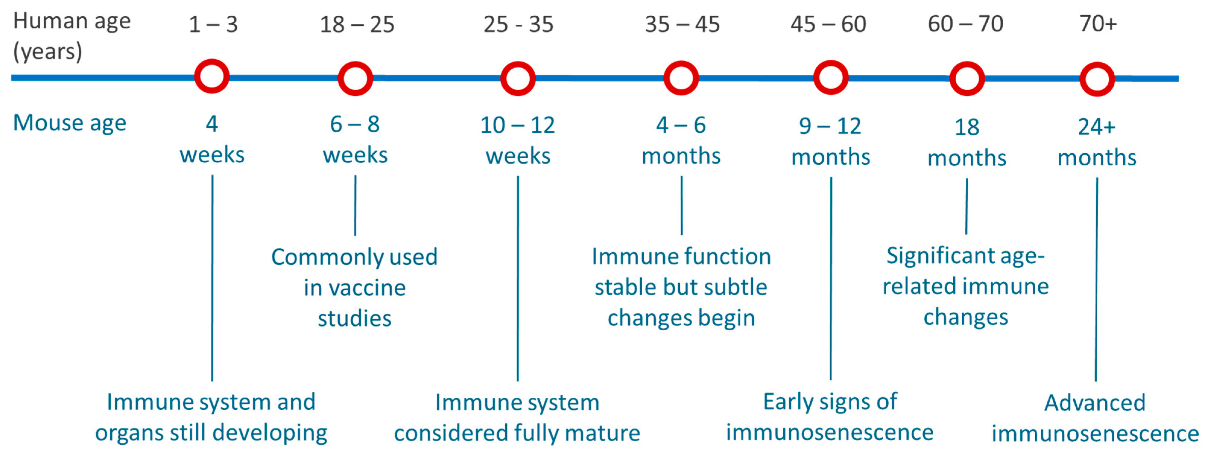 Vaccines 13 00370 g004