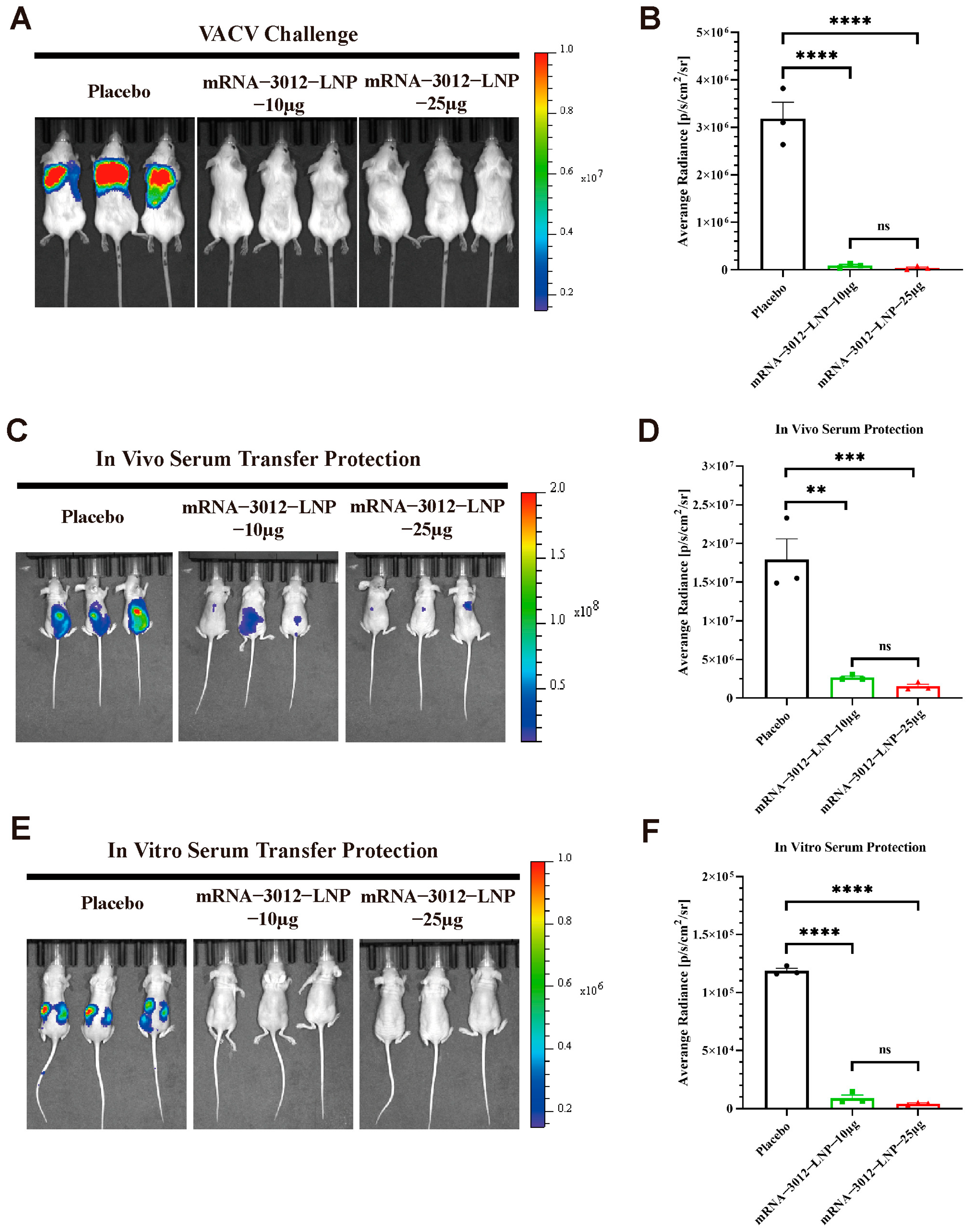 Vaccines 13 00374 g004