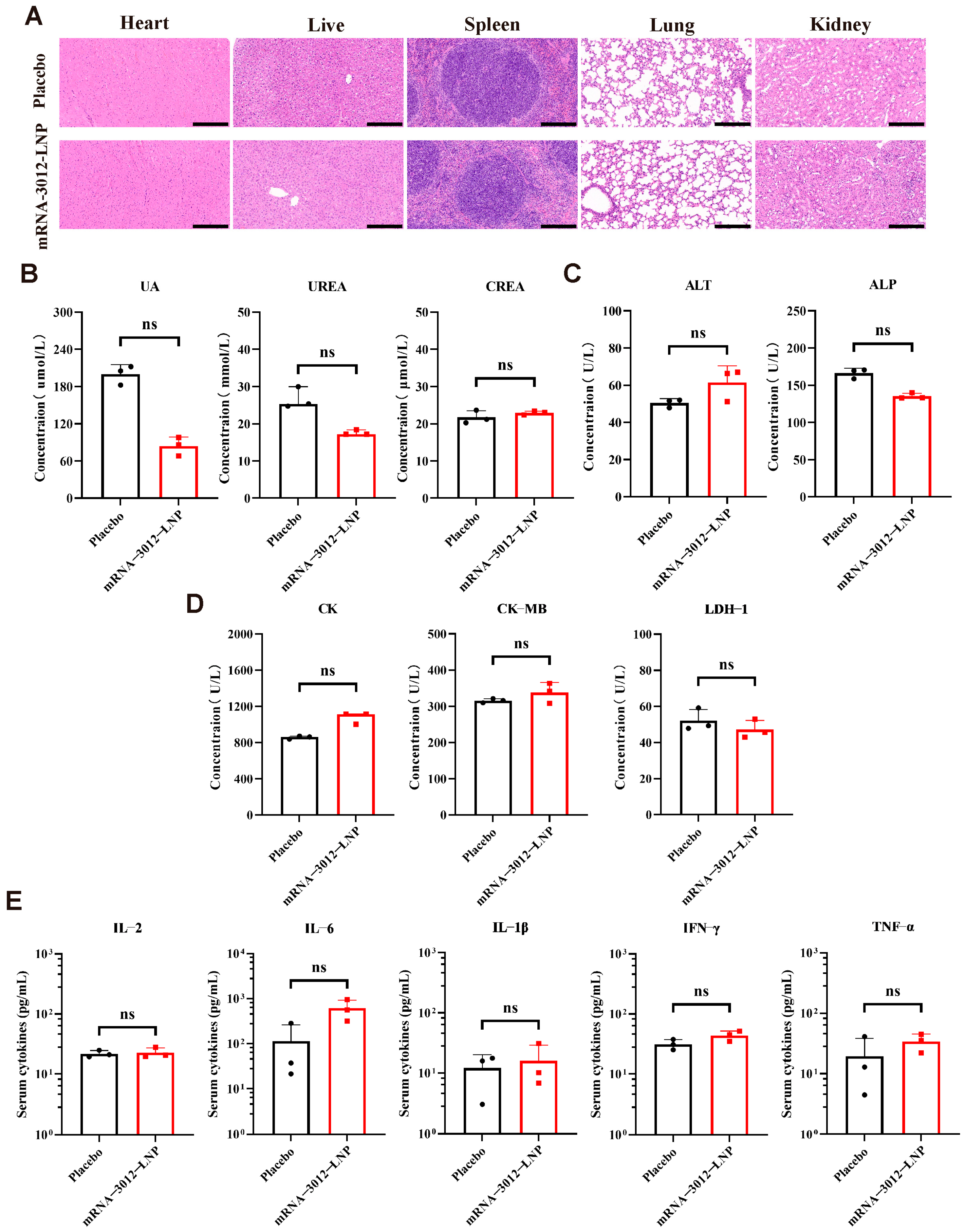 Vaccines 13 00374 g005