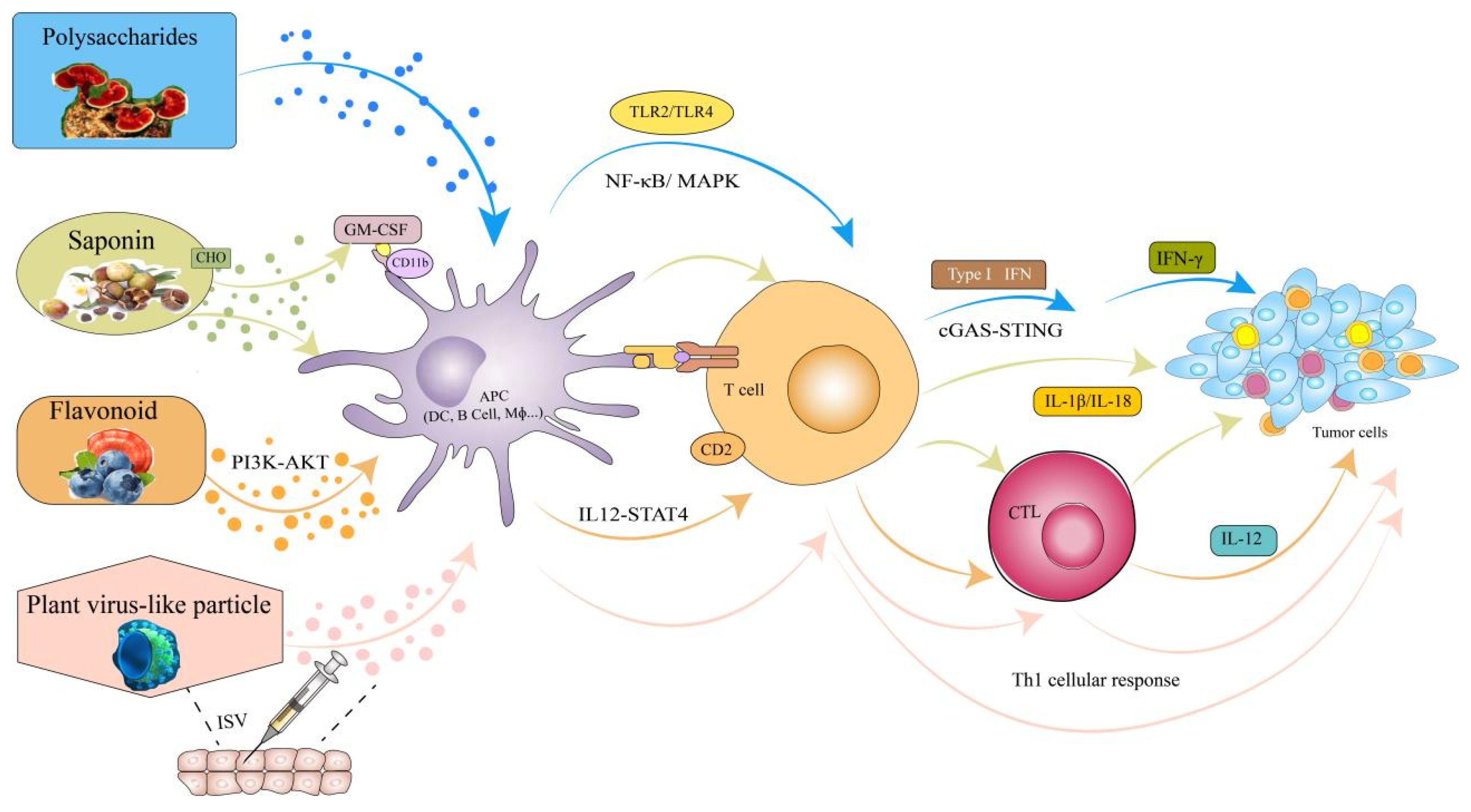 Vaccines 13 00378 g007