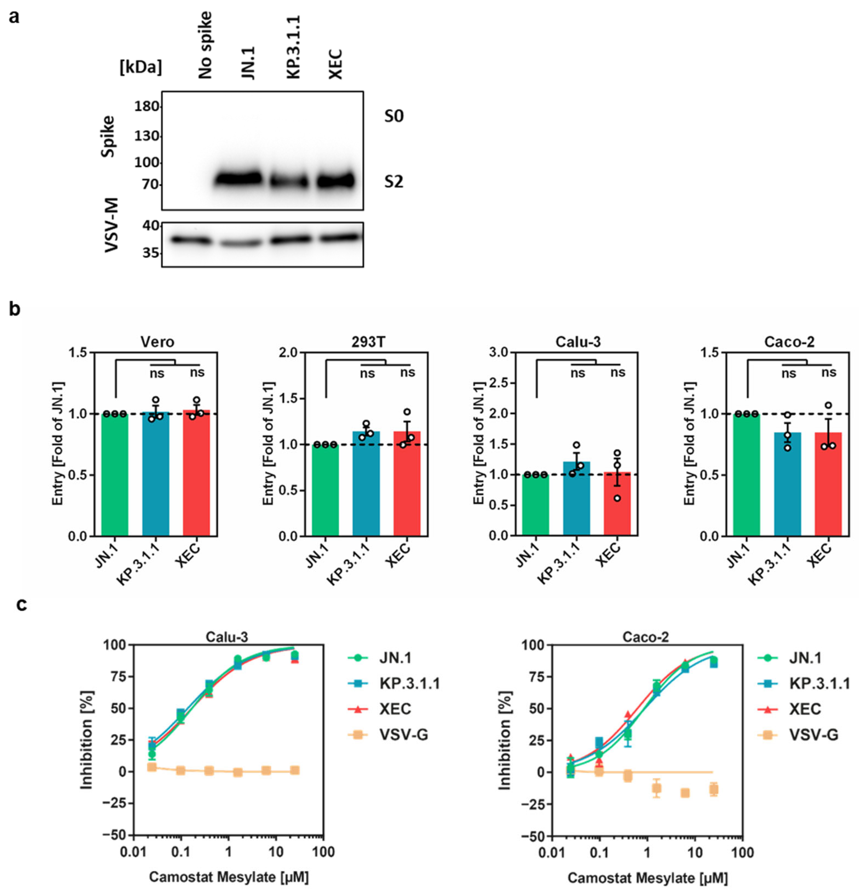 Vaccines 13 00385 g002