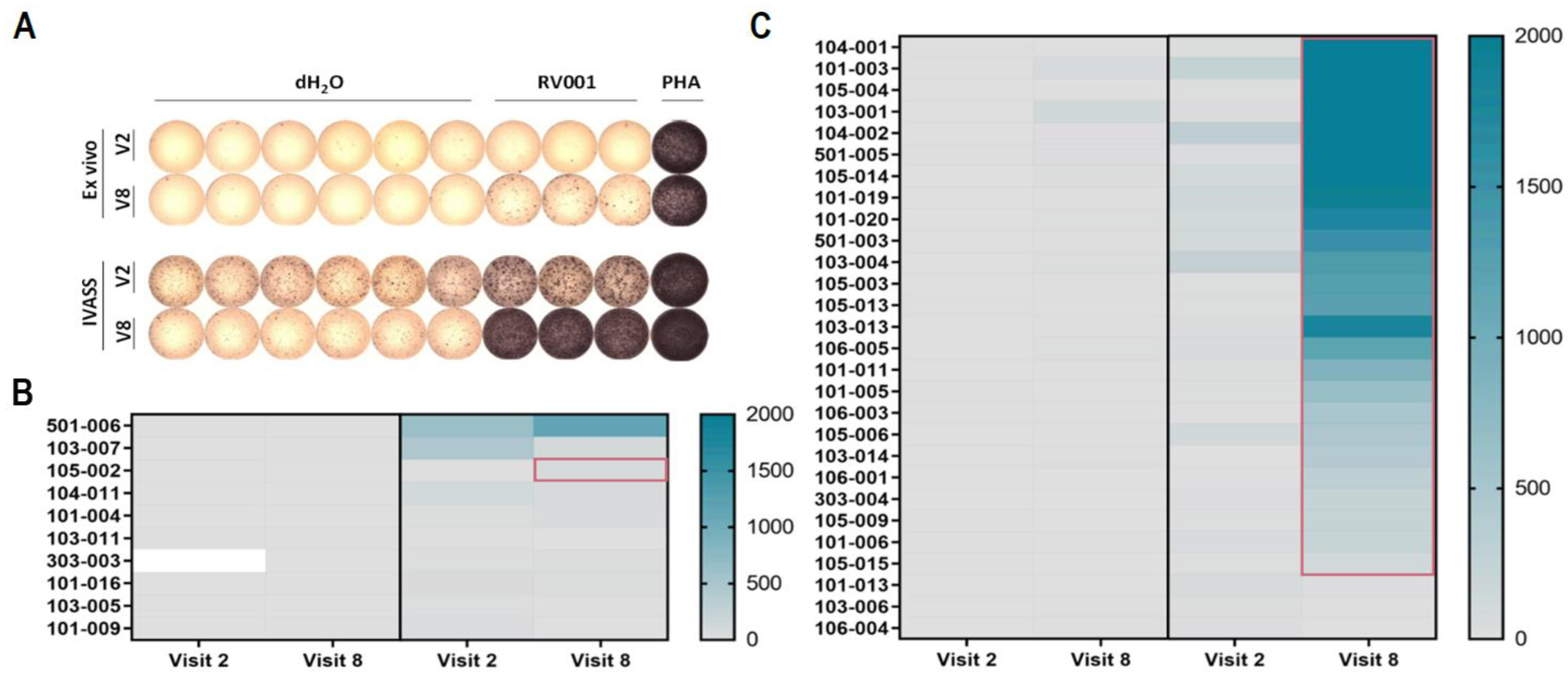 Vaccines 13 00390 g003