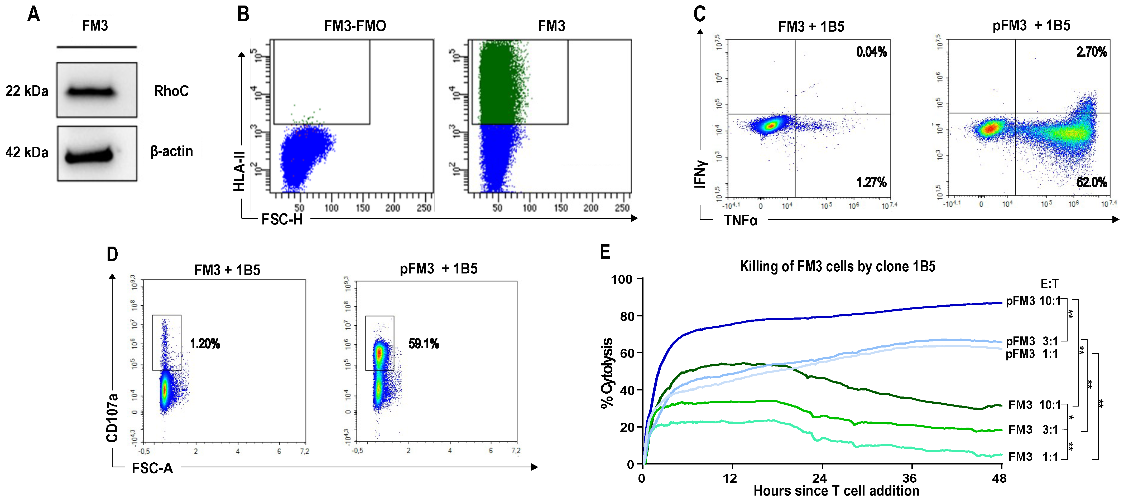 Vaccines 13 00390 g005