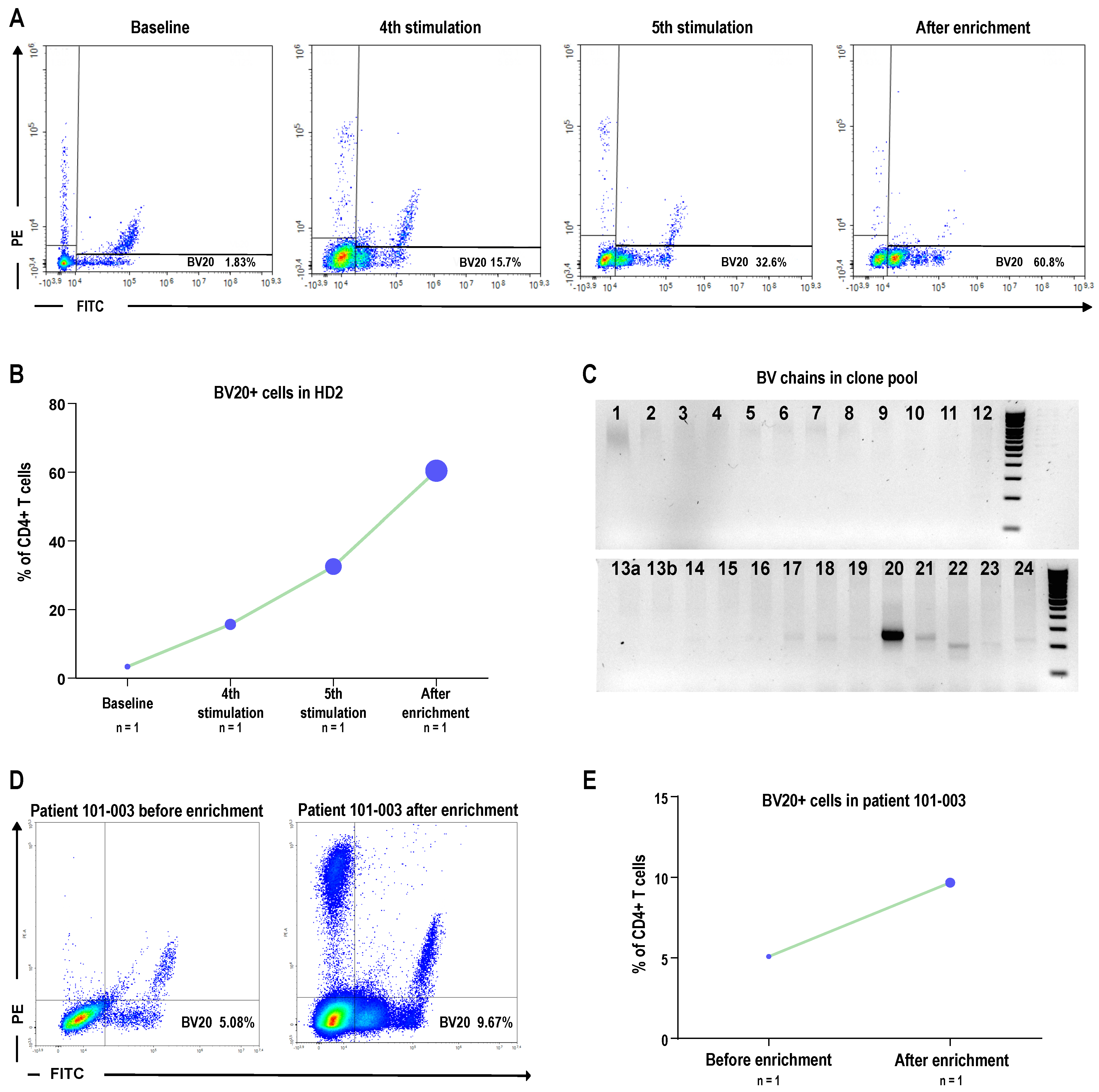 Vaccines 13 00390 g007
