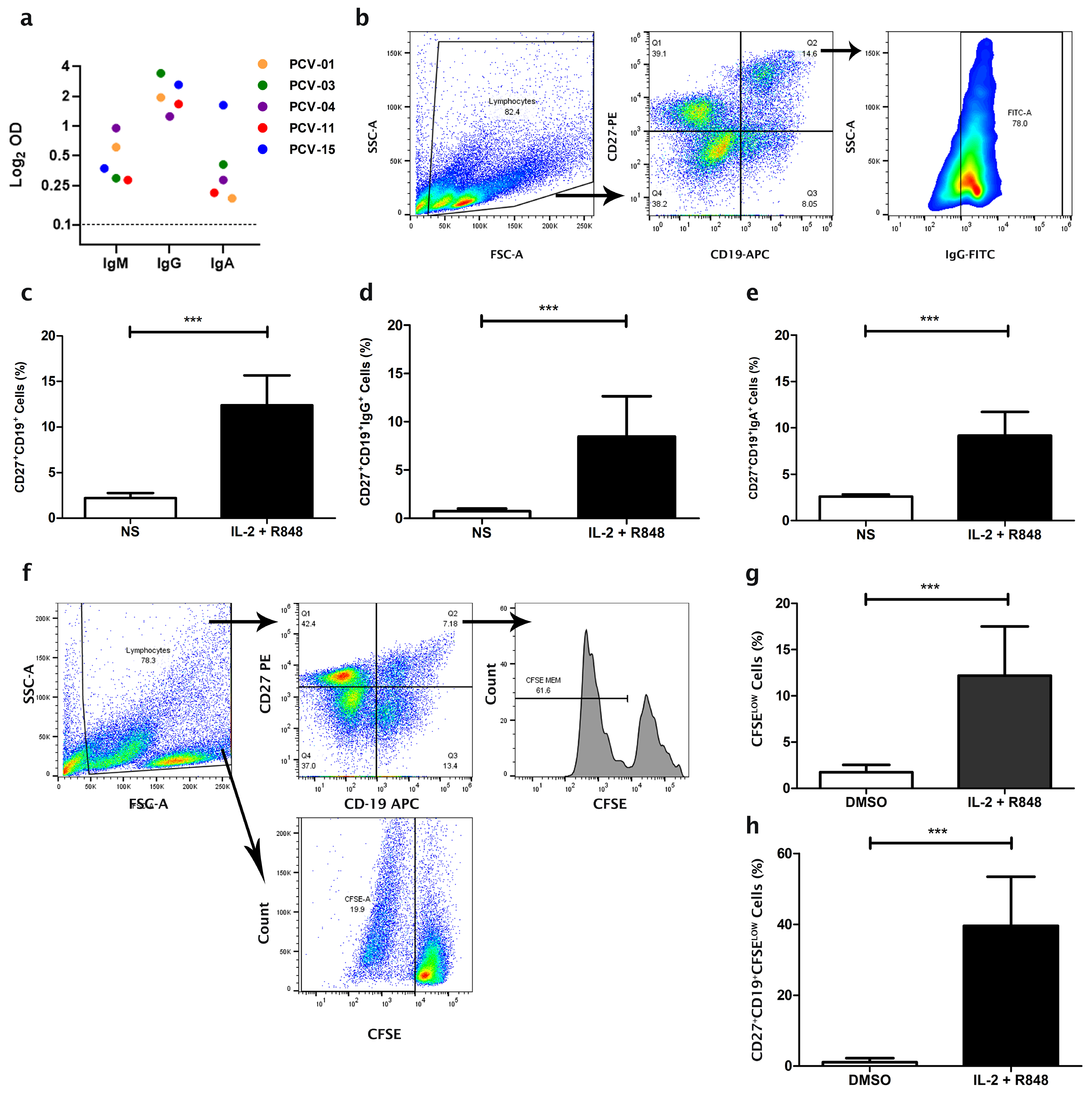 Vaccines 13 00393 g001