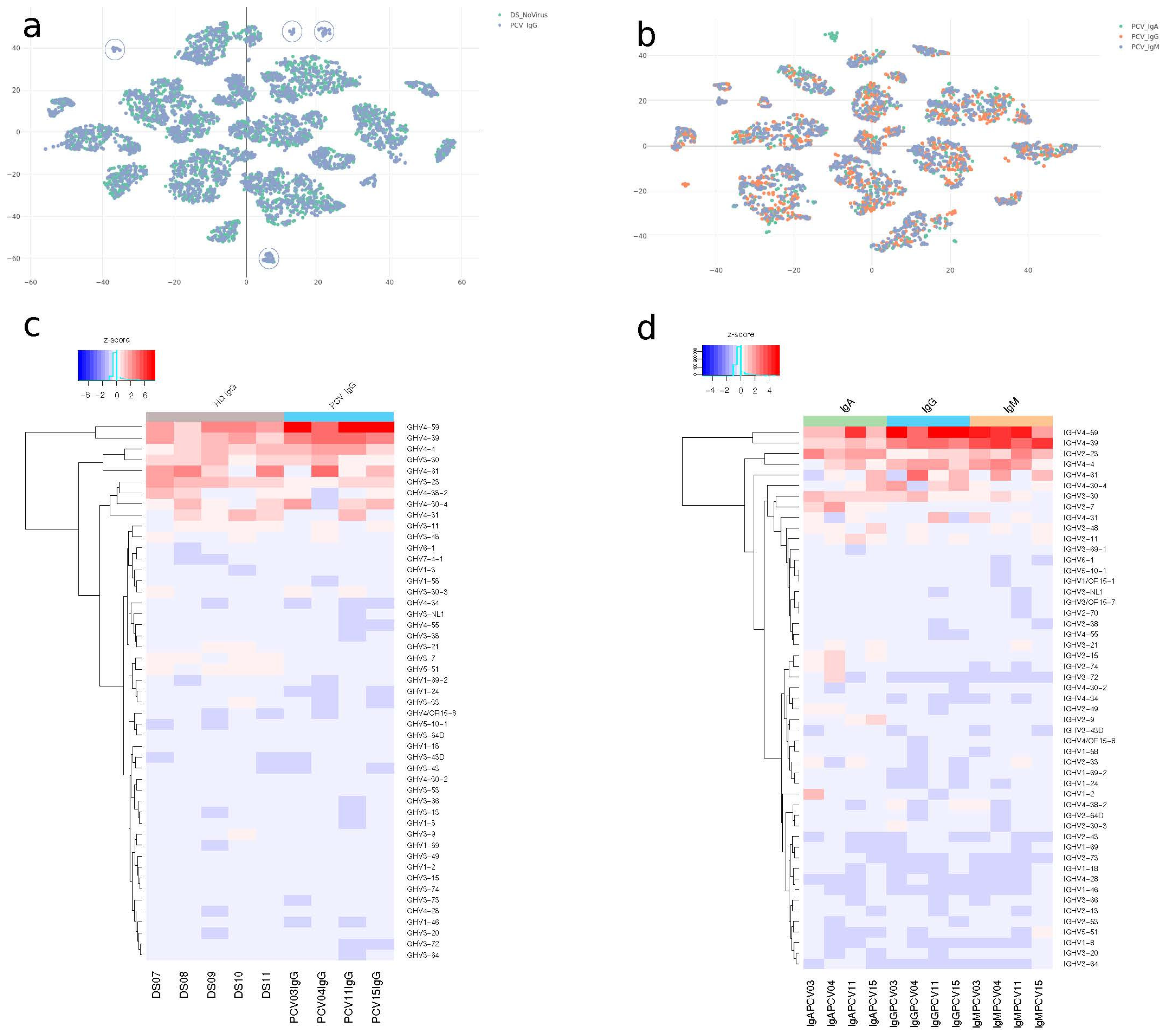 Vaccines 13 00393 g004