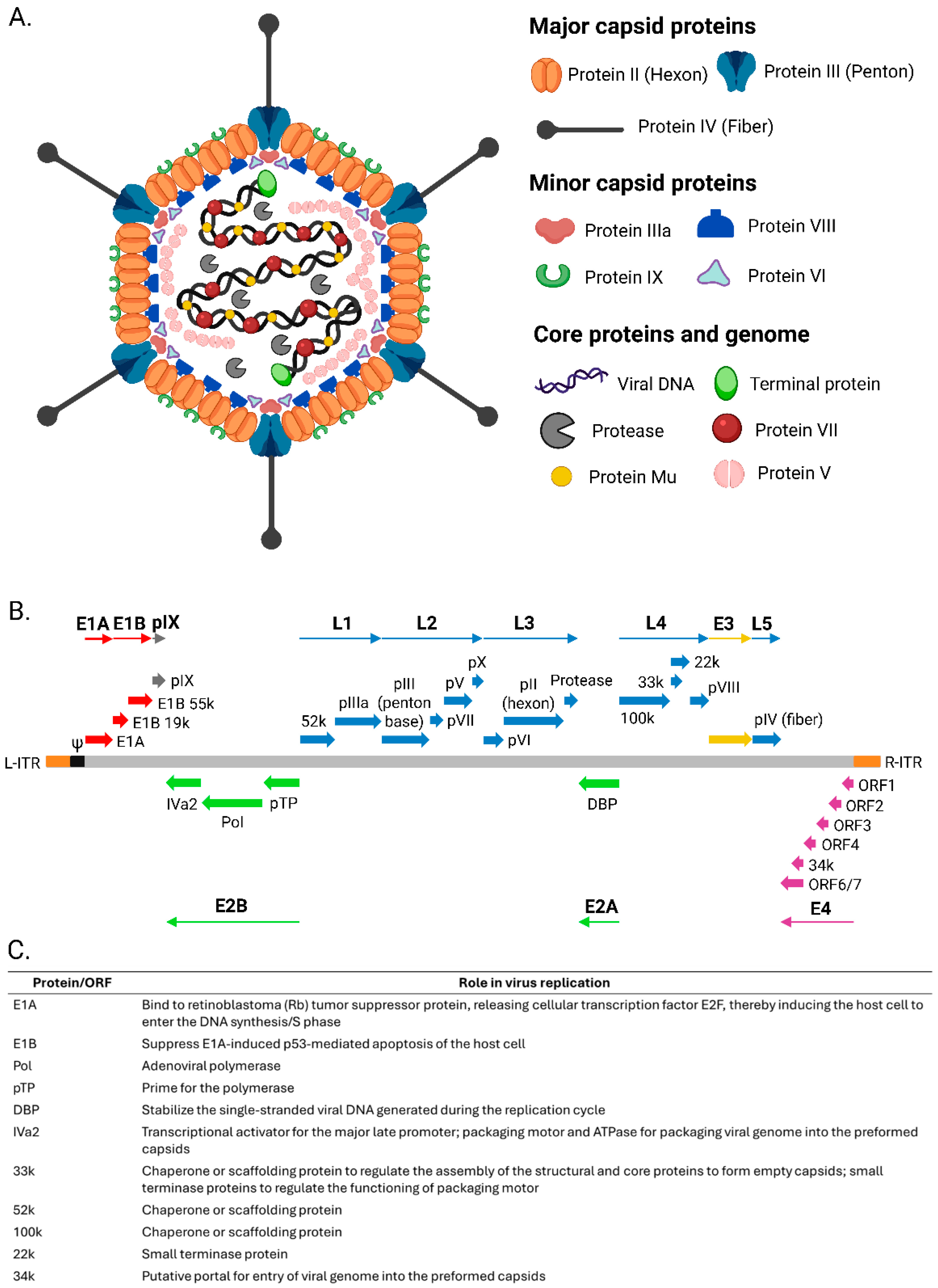 Vaccines 13 00406 g001