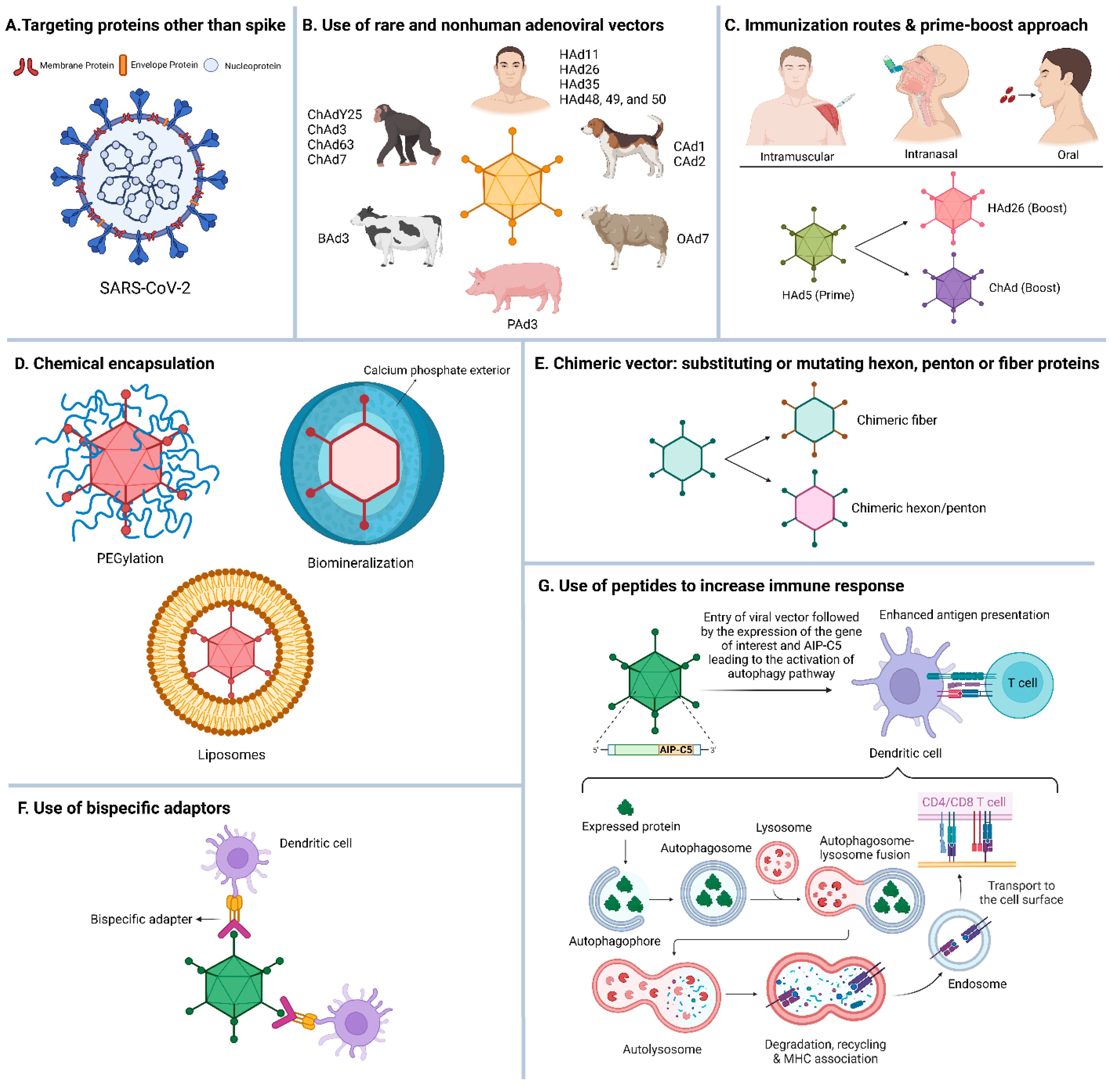 Vaccines 13 00406 g004