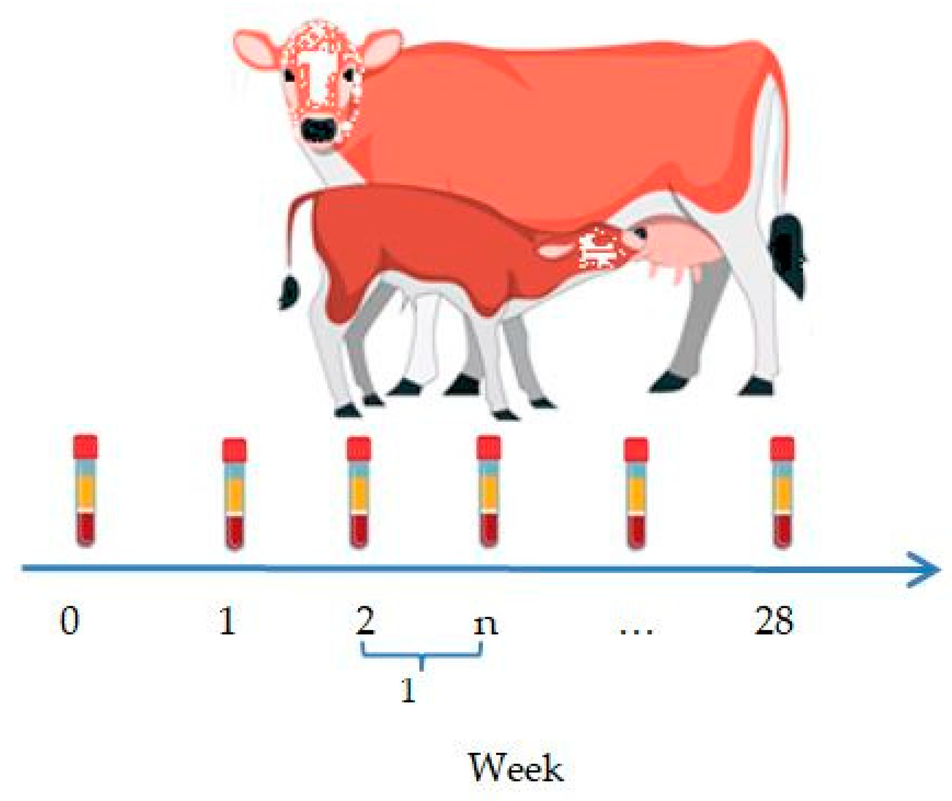 Vaccines 13 00408 g002